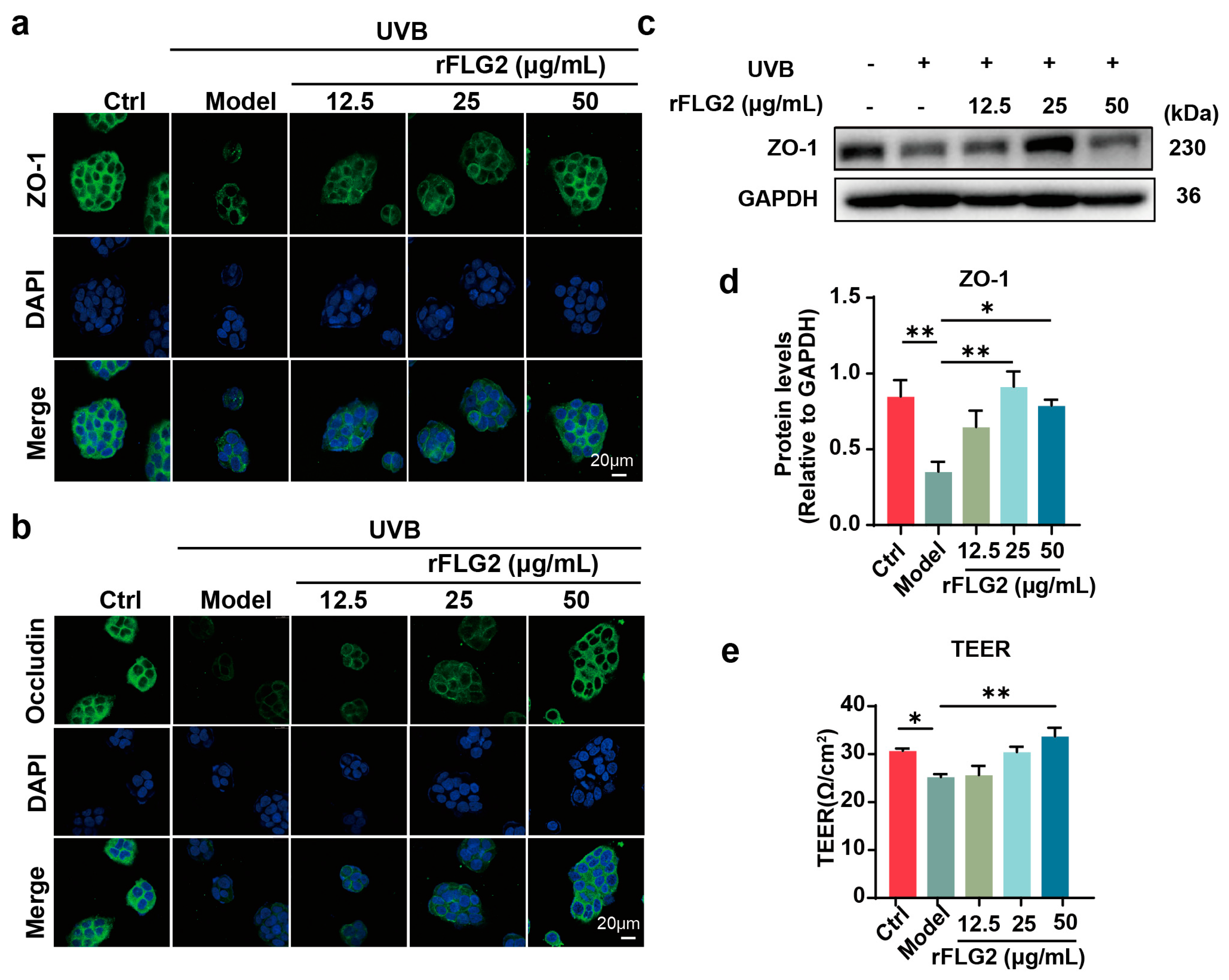 Antioxidants 13 01002 g003