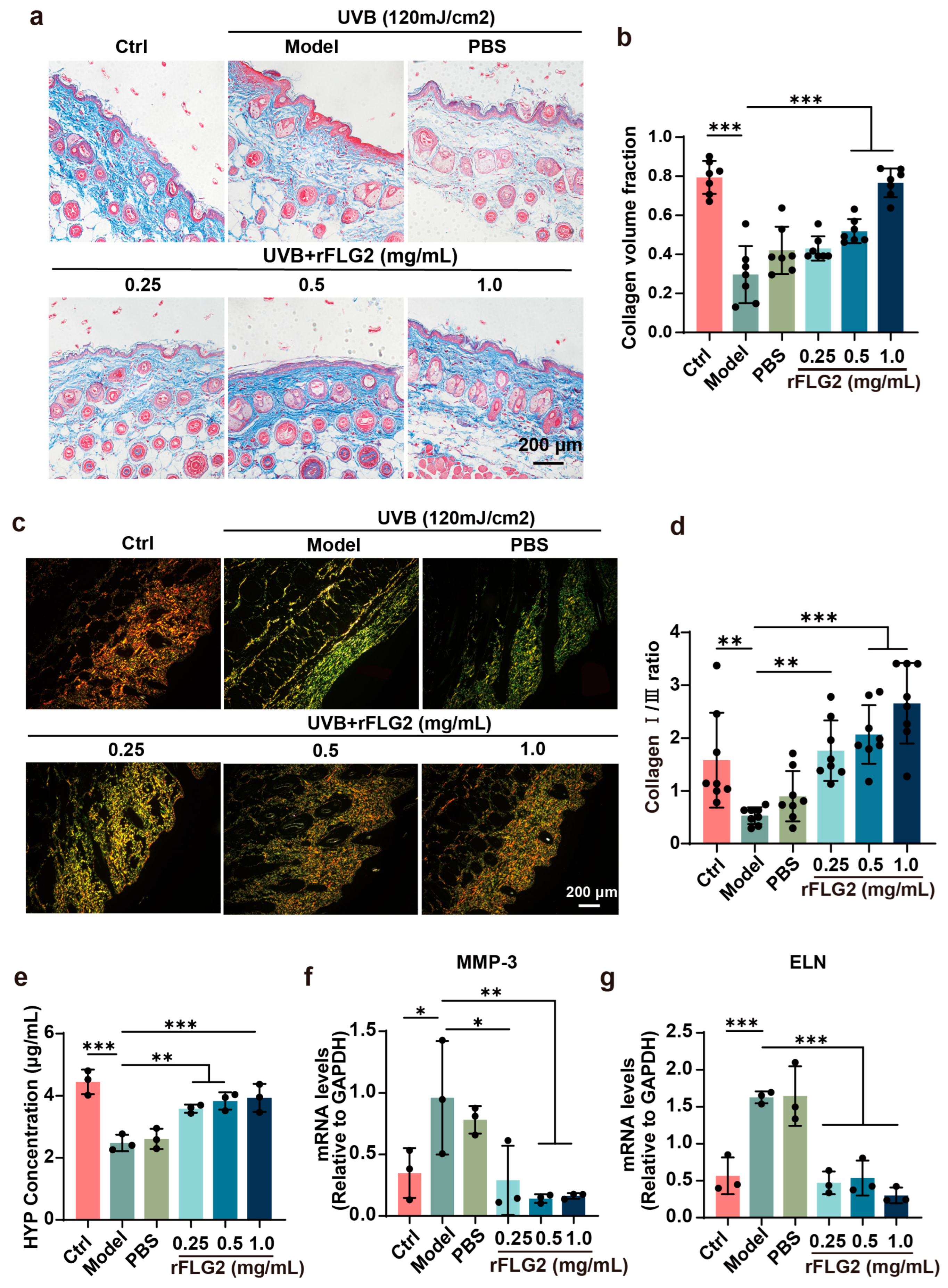 Antioxidants 13 01002 g008