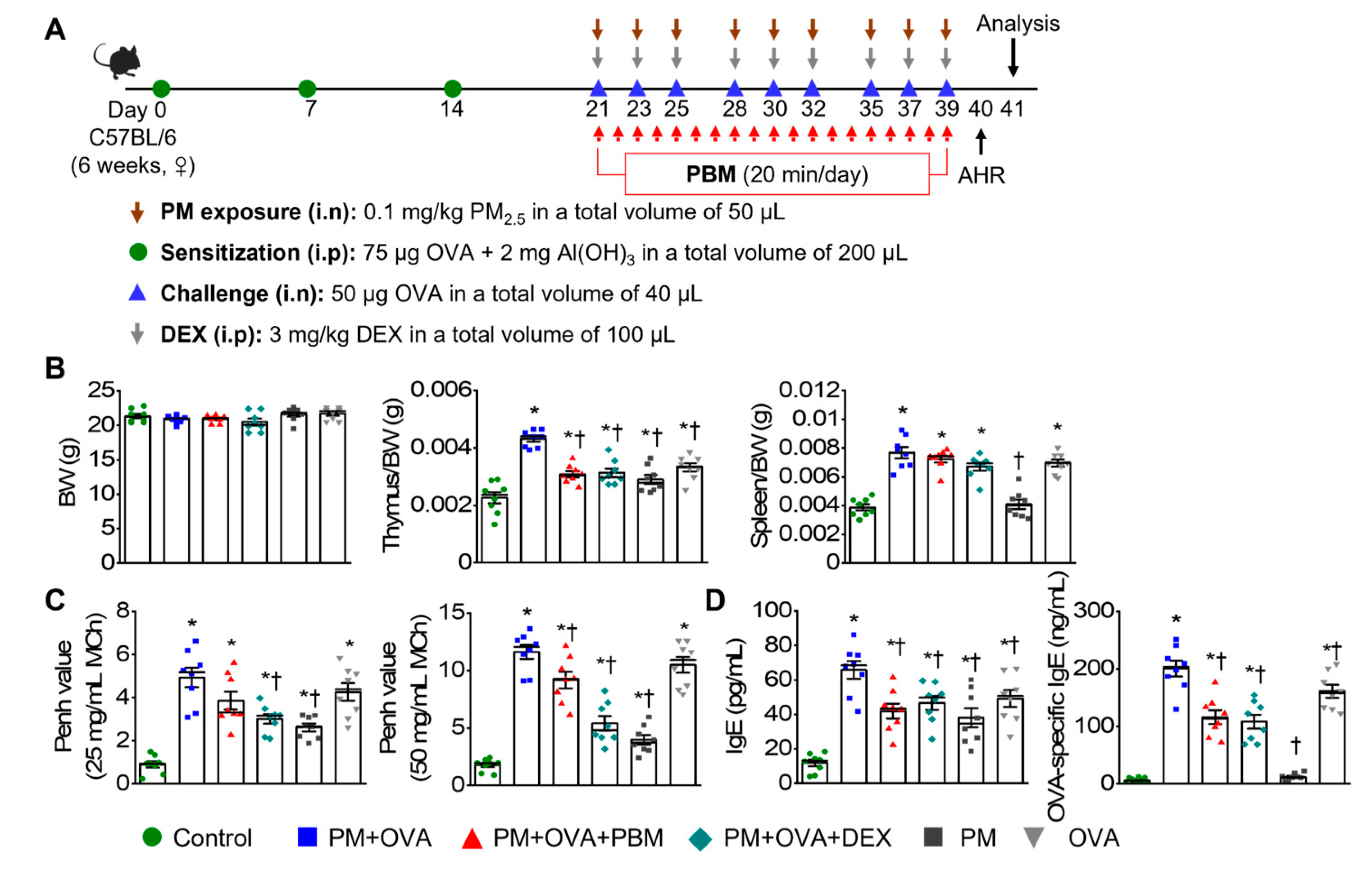 Antioxidants 13 01003 g001