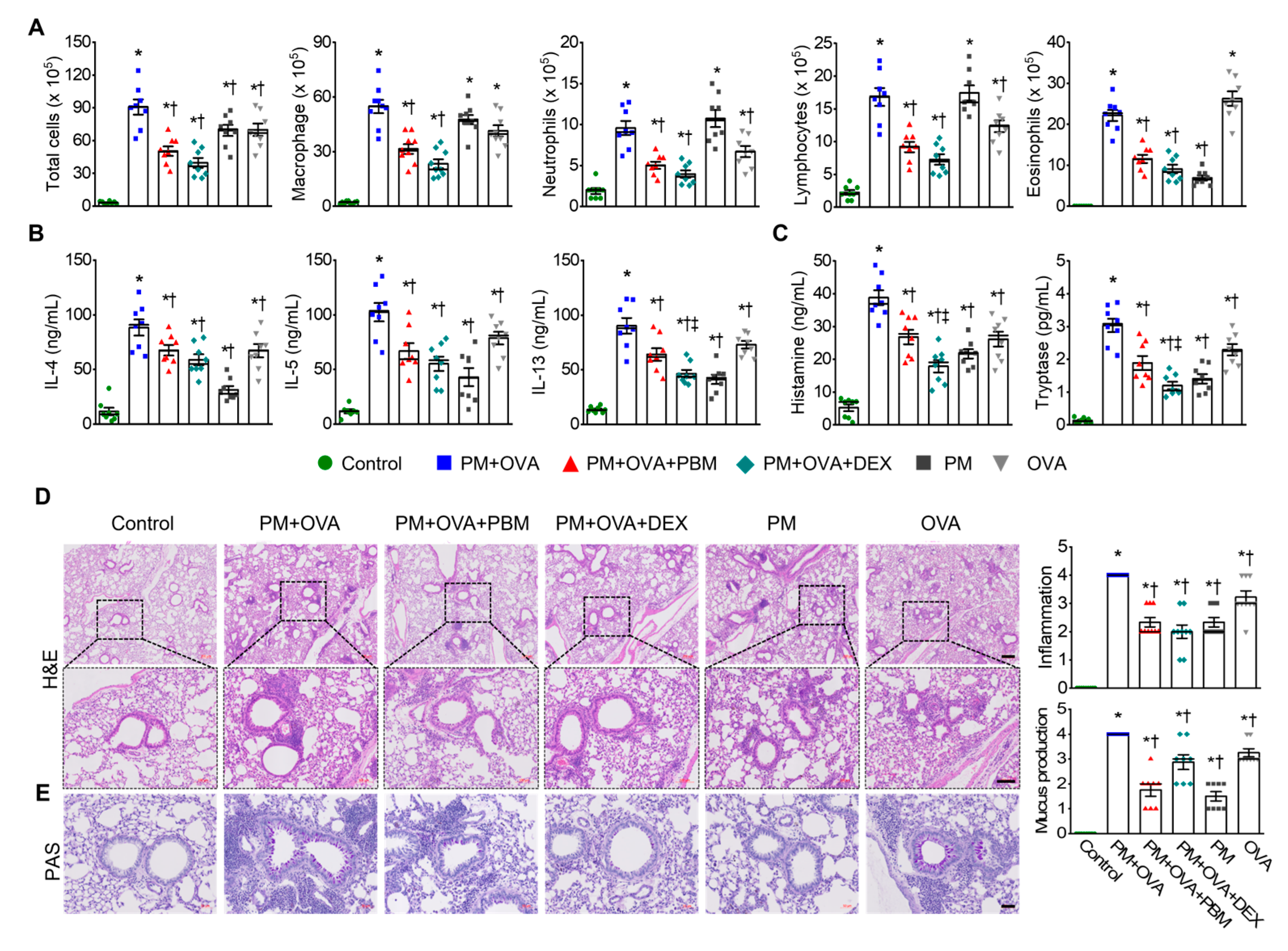 Antioxidants 13 01003 g002