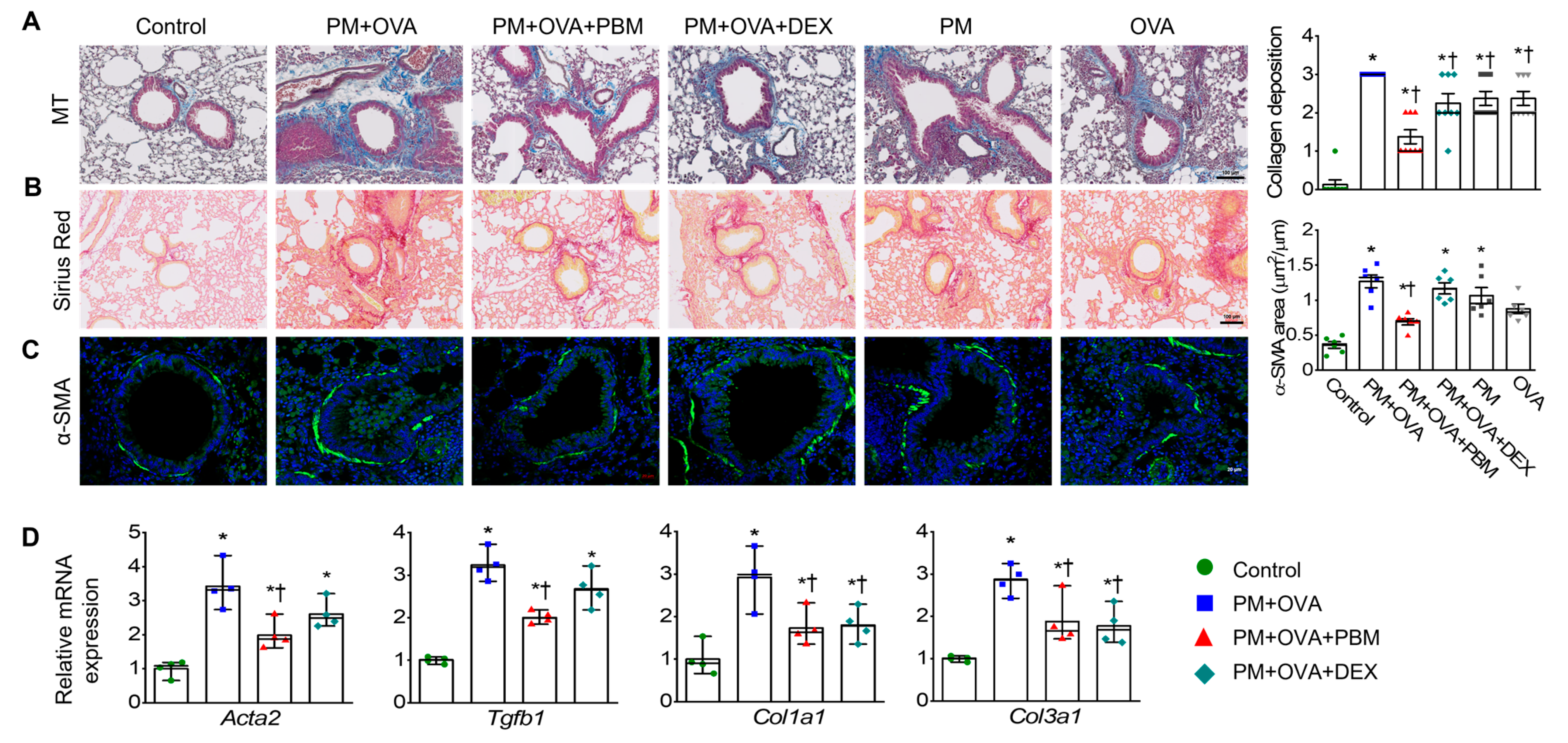 Antioxidants 13 01003 g003