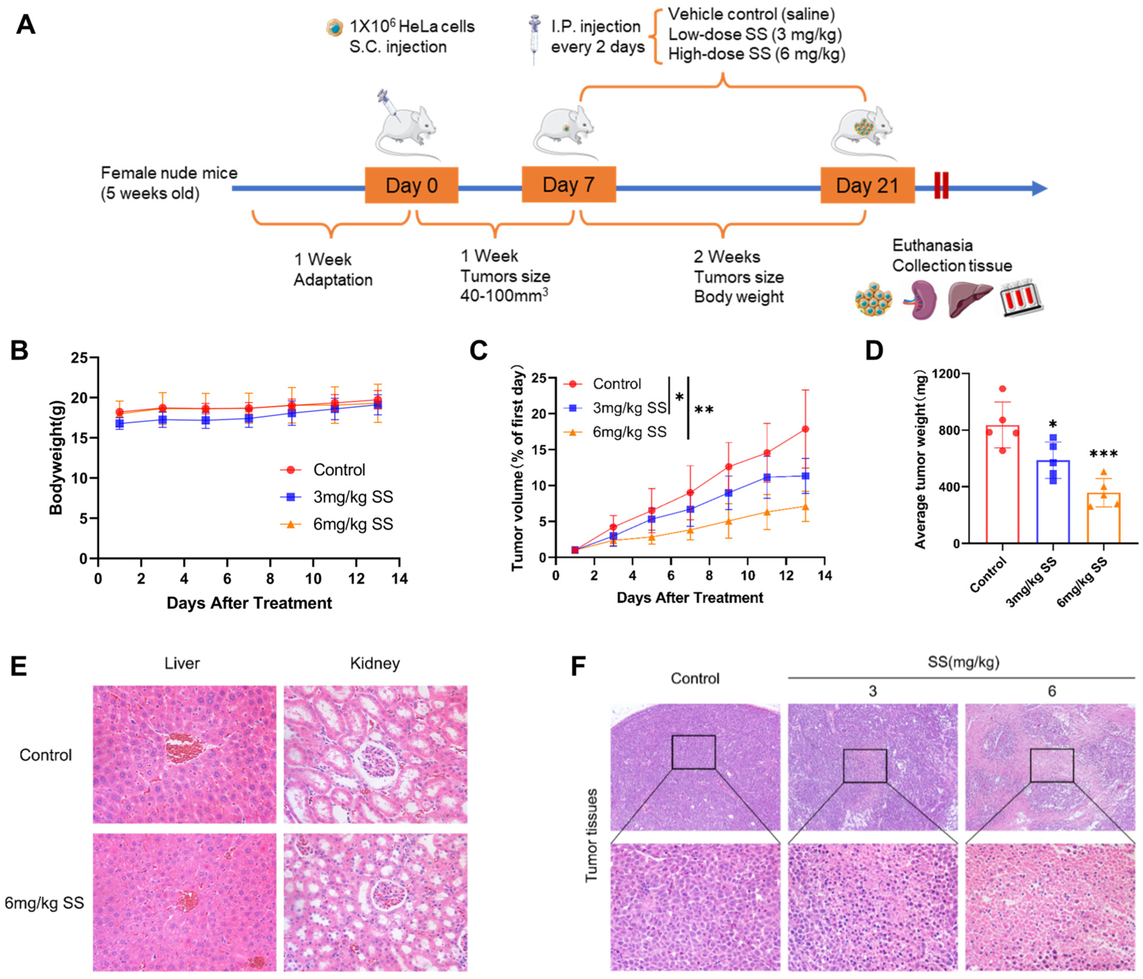 Antioxidants 13 01004 g002
