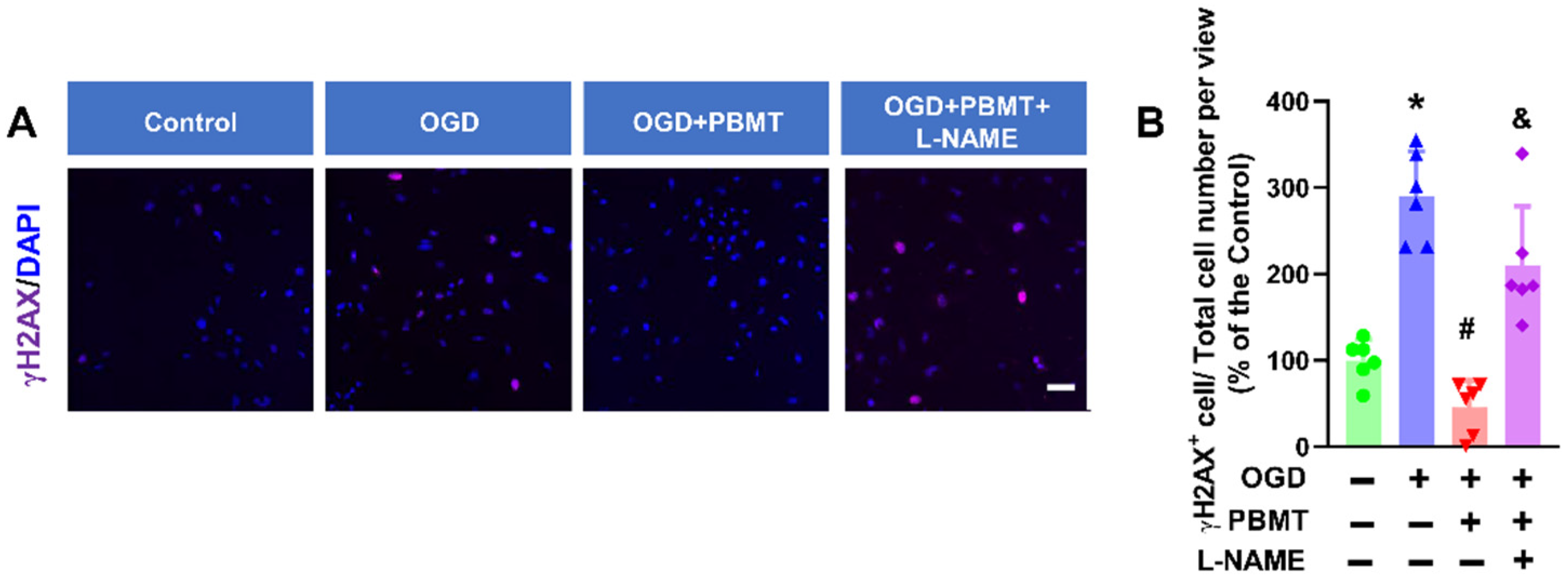 Antioxidants 13 01005 g007