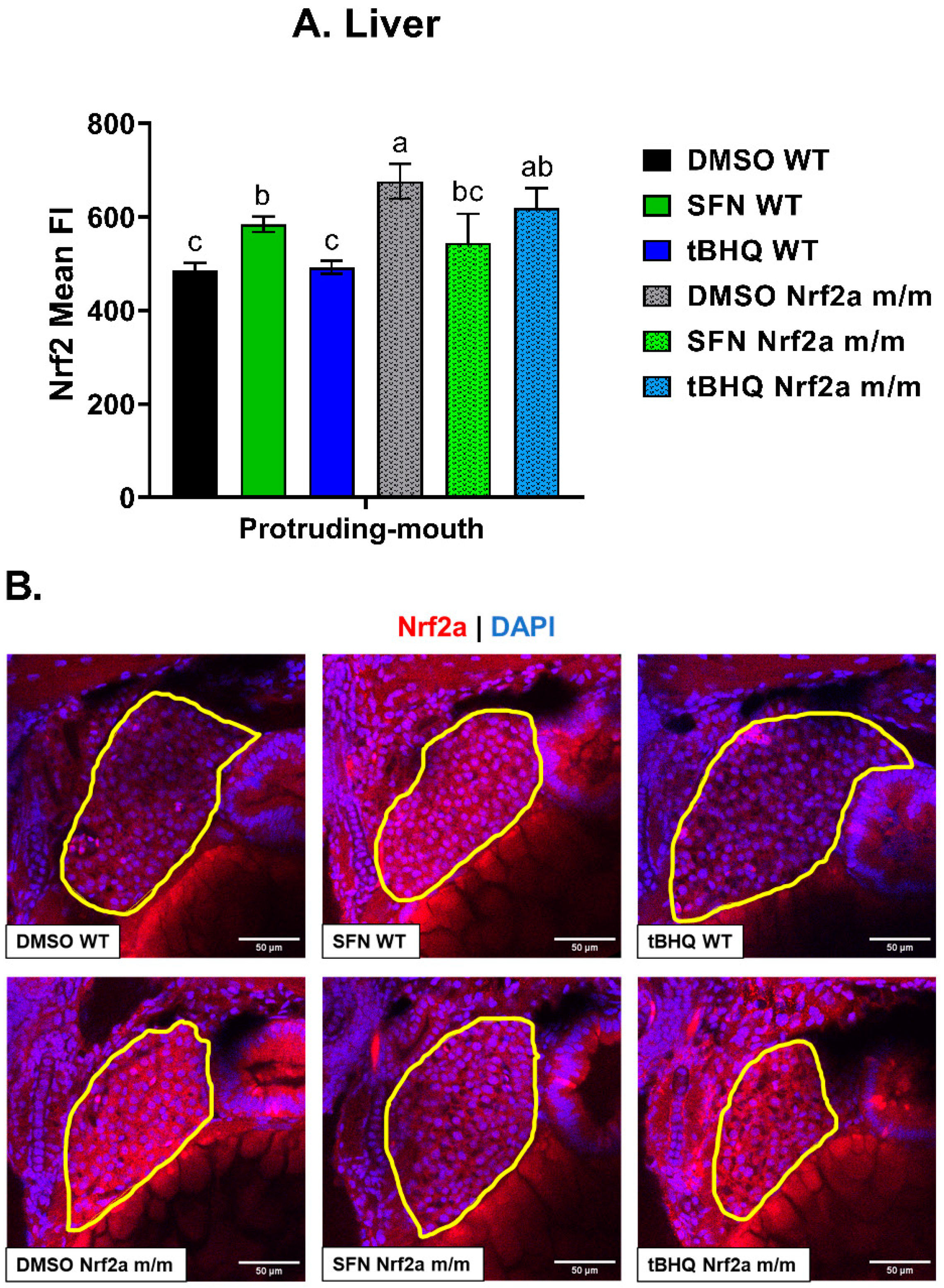 Antioxidants 13 01006 g003
