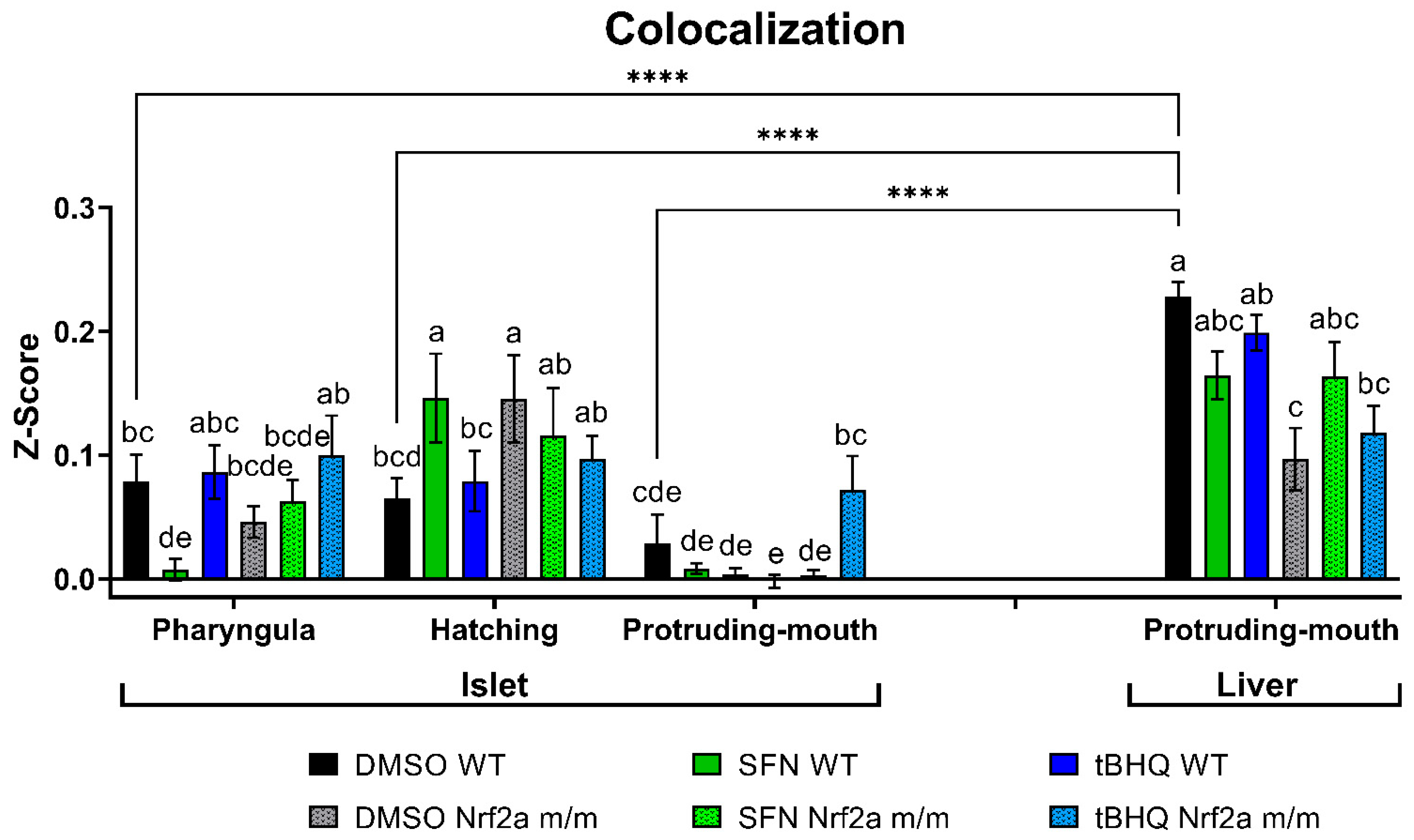 Antioxidants 13 01006 g004
