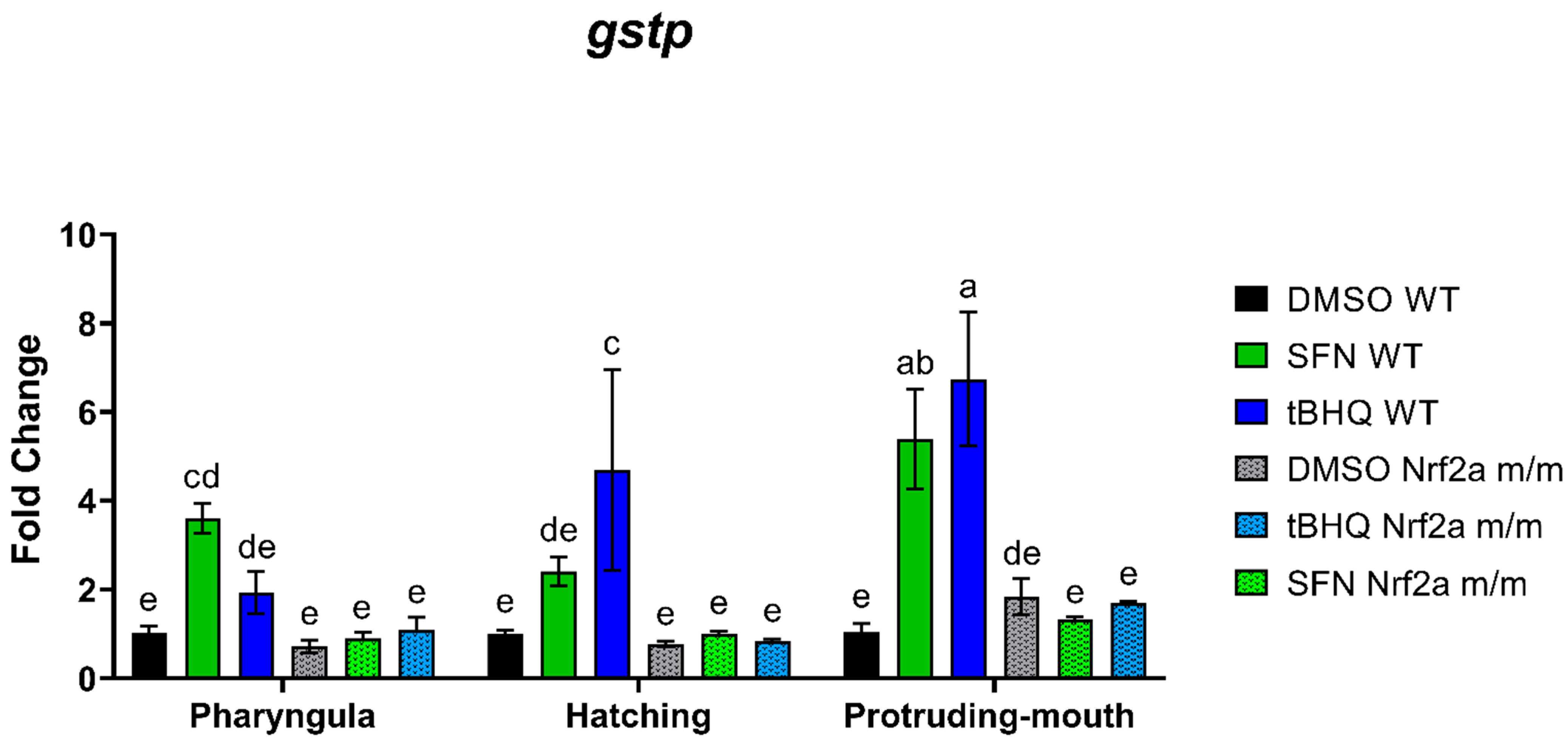 Antioxidants 13 01006 g008