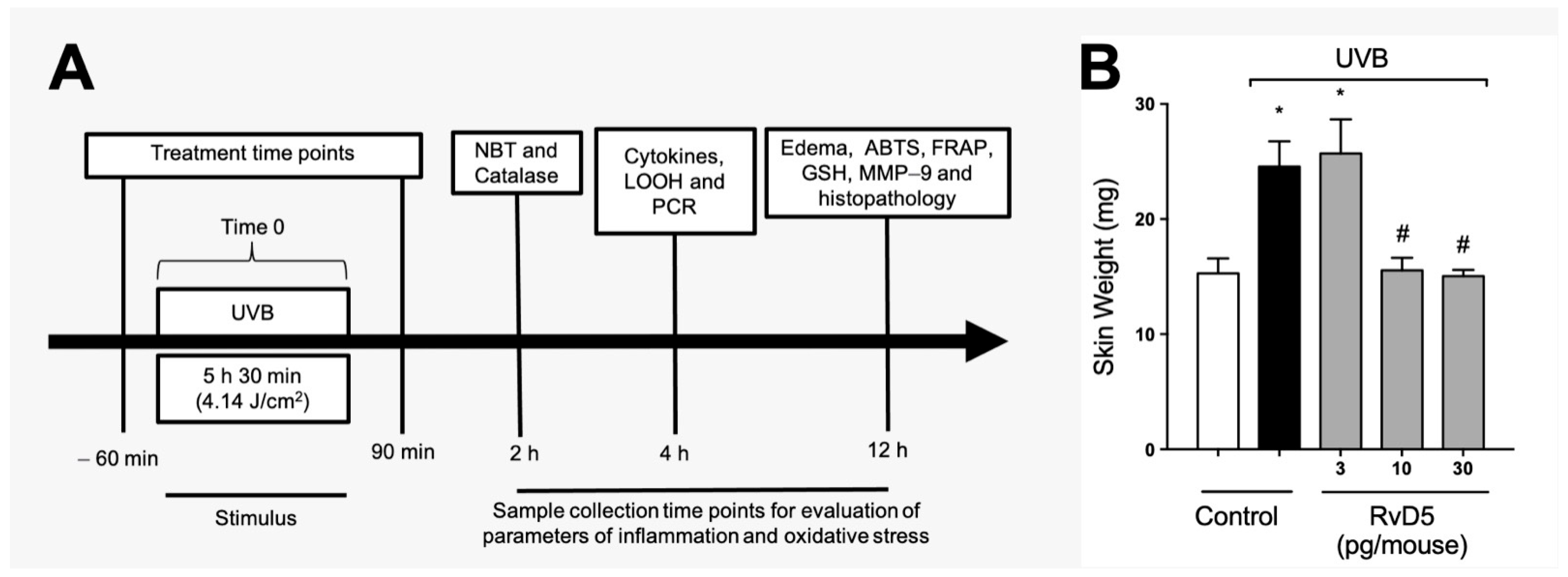 Antioxidants 13 01008 g001