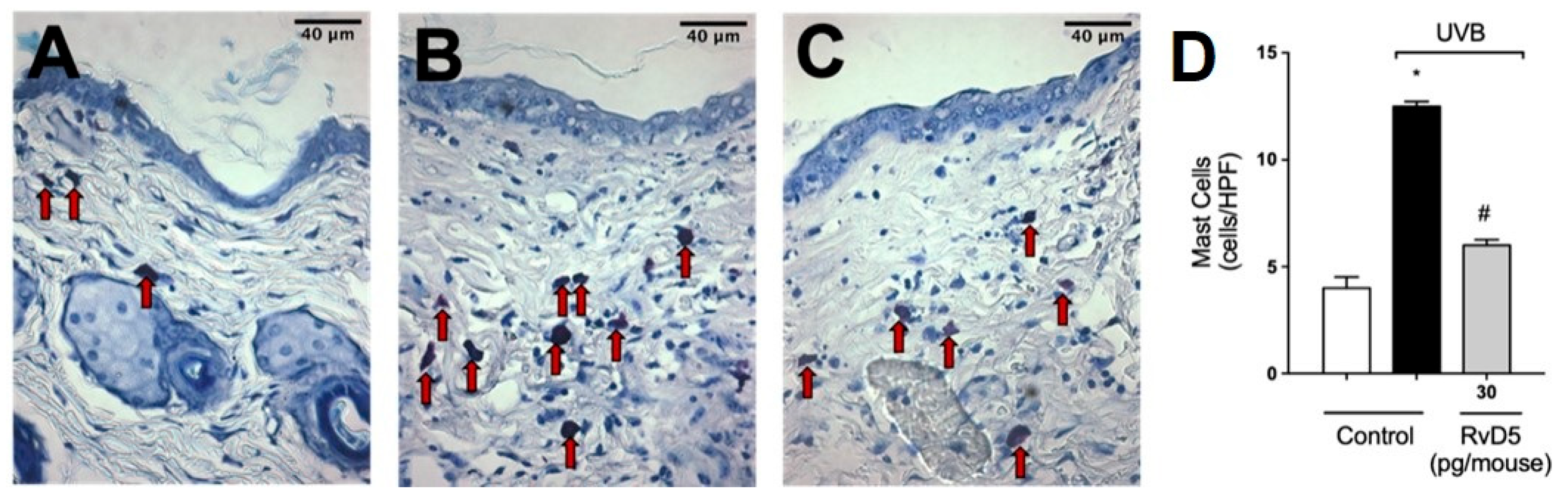 Antioxidants 13 01008 g006