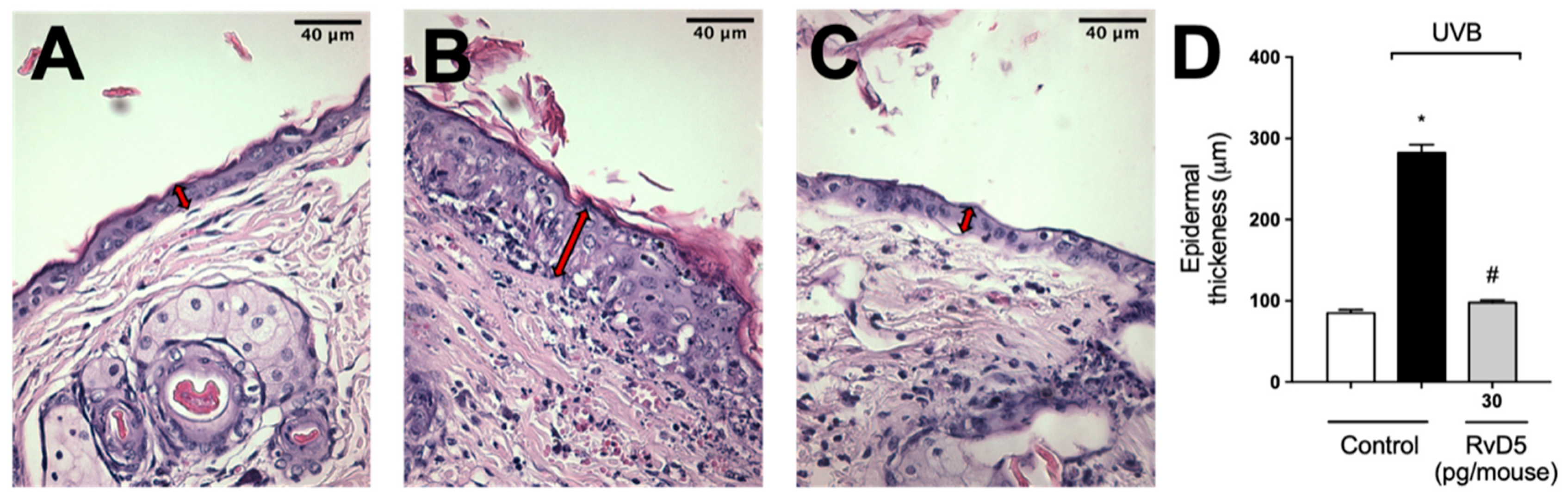 Antioxidants 13 01008 g011