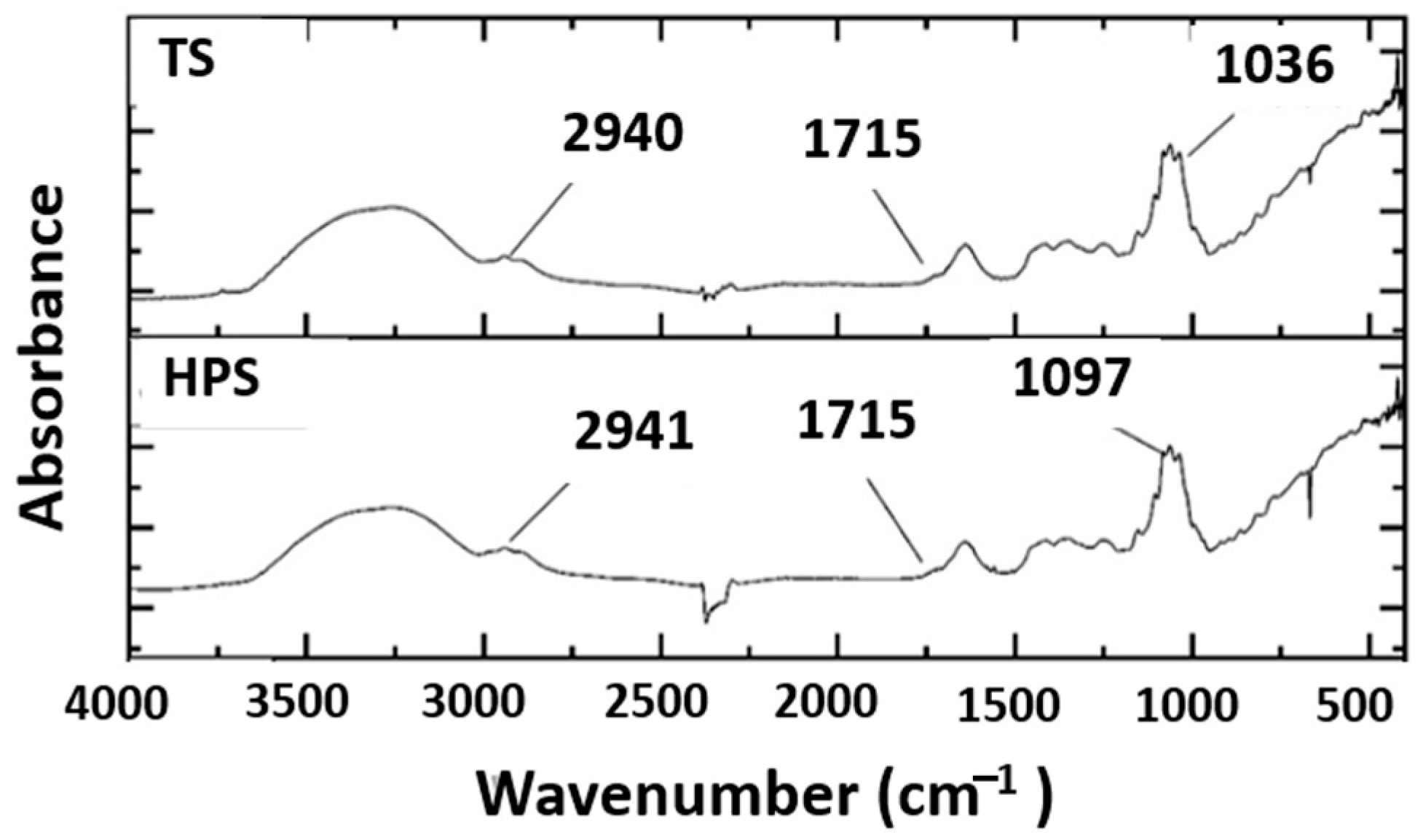 Antioxidants 13 01009 g001 Antioxidants 13 01009 g001