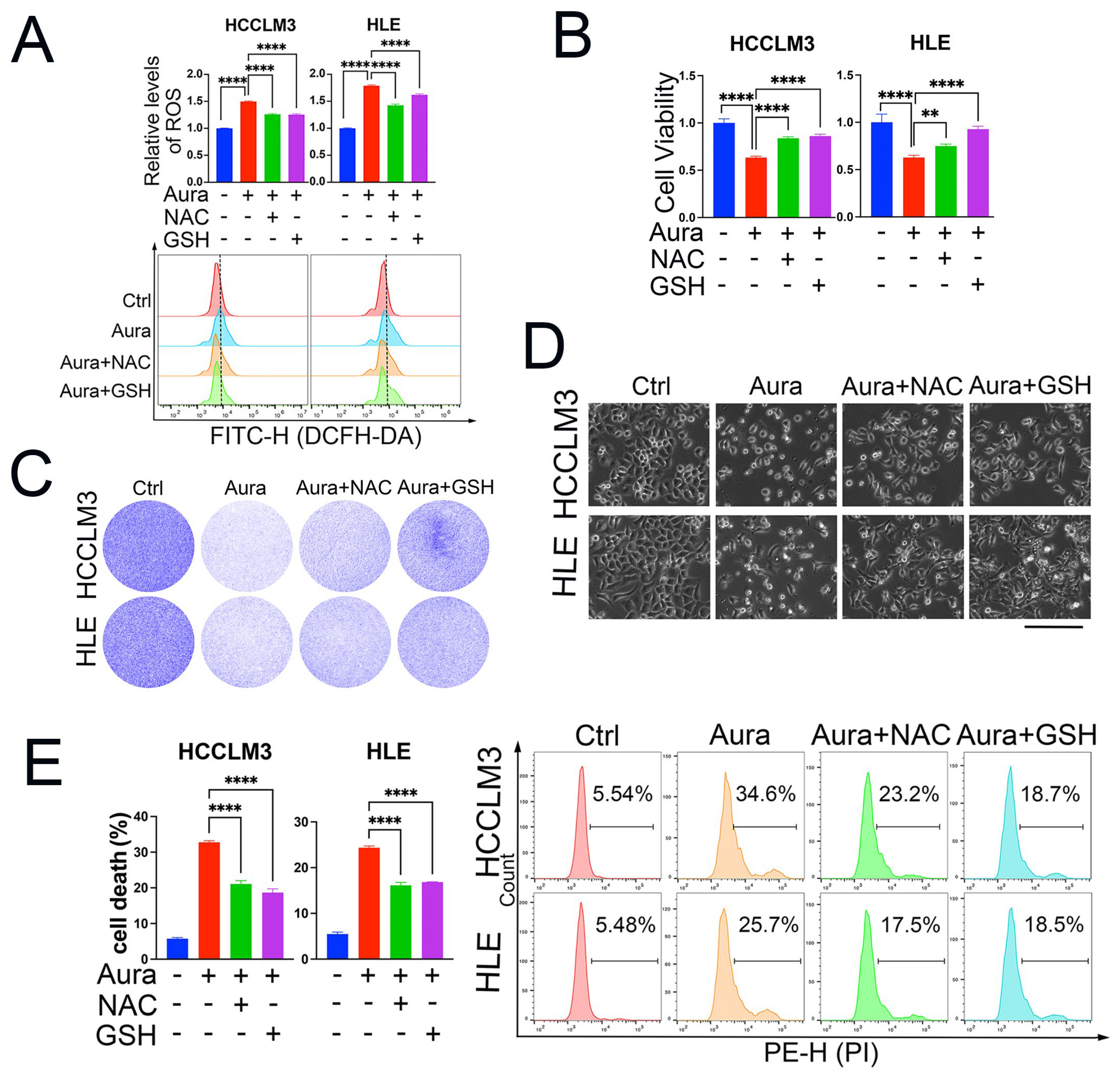 Antioxidants 13 01015 g002