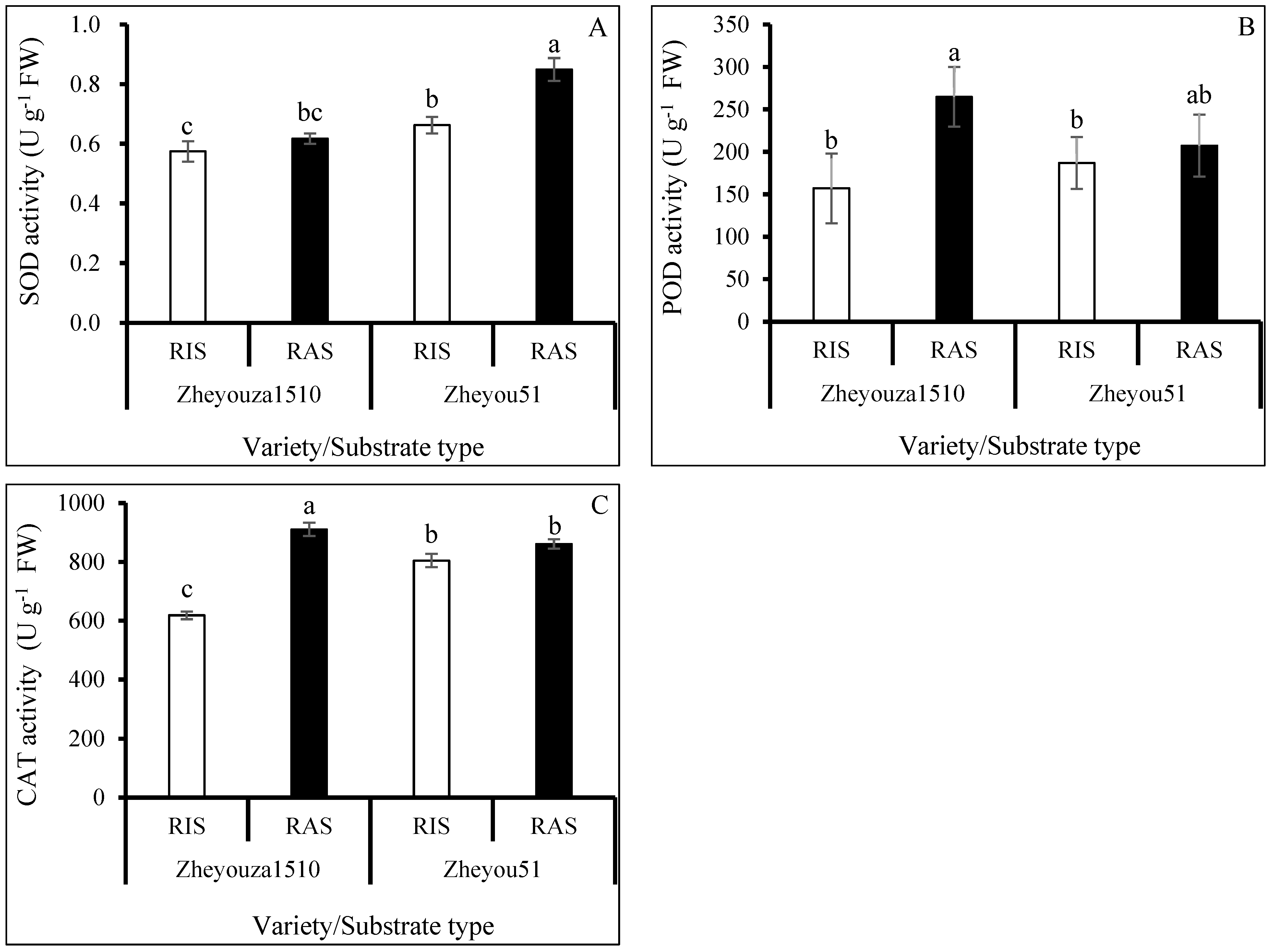 Antioxidants 13 01022 g004