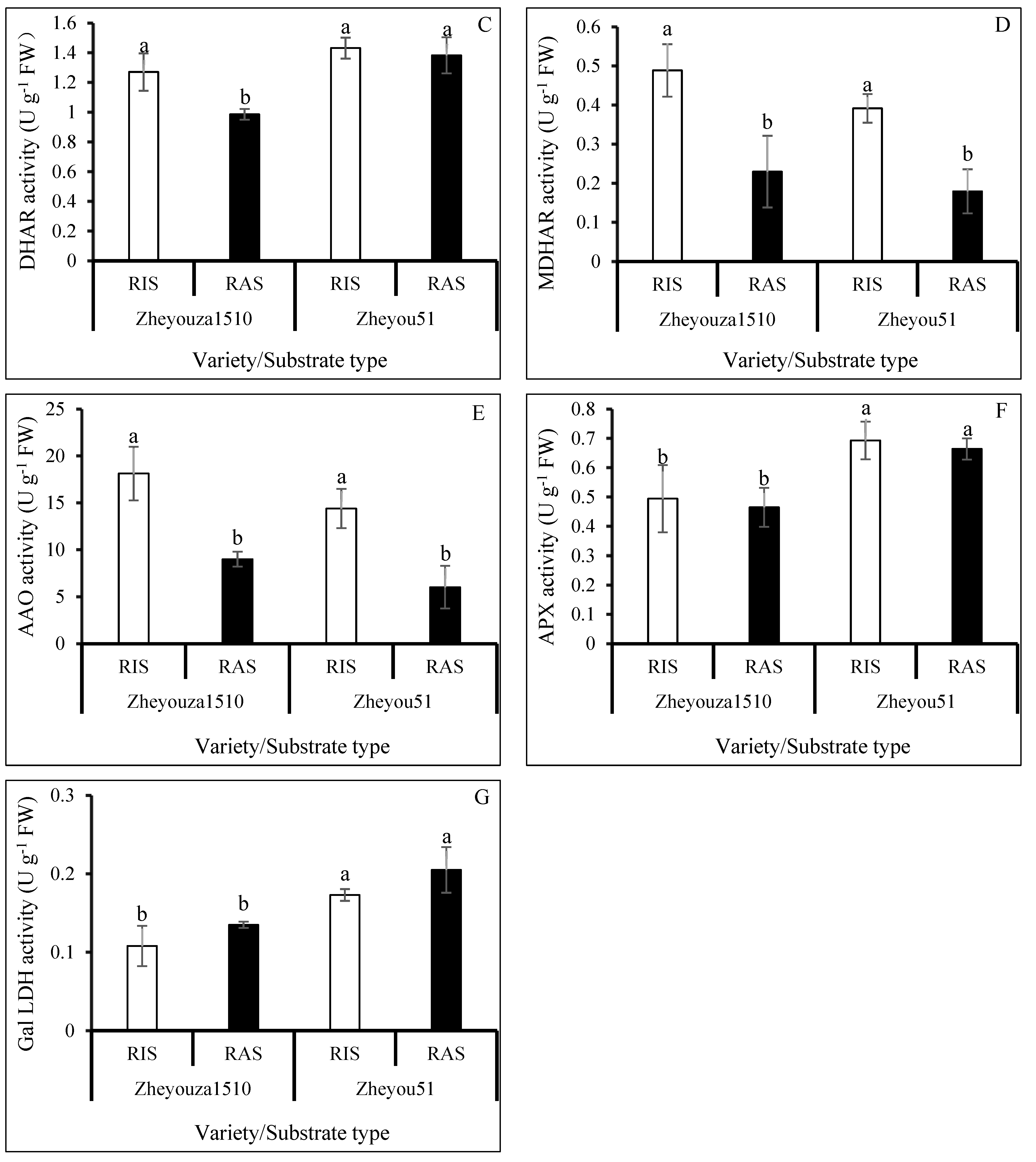 Antioxidants 13 01022 g005b
