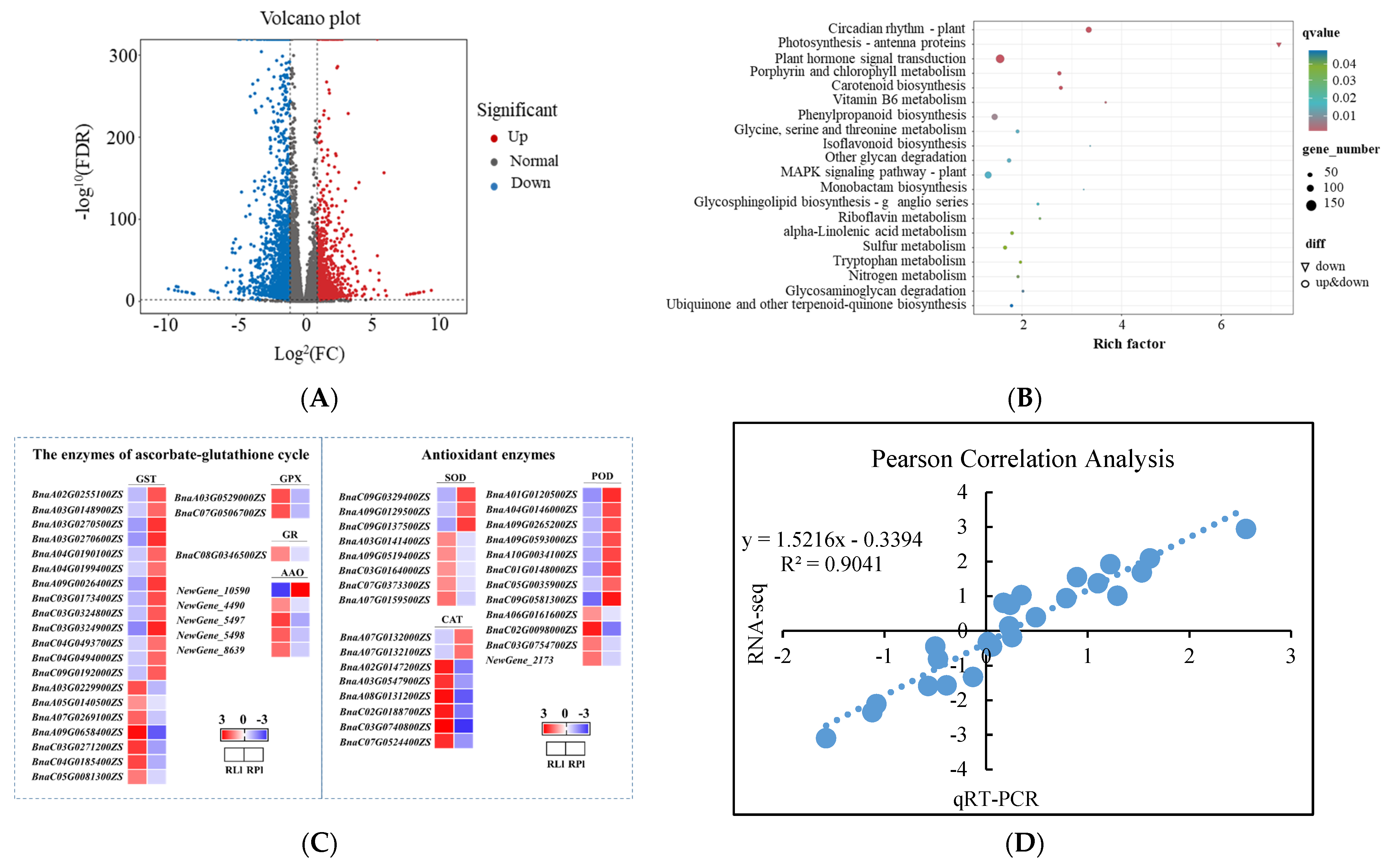 Antioxidants 13 01022 g007