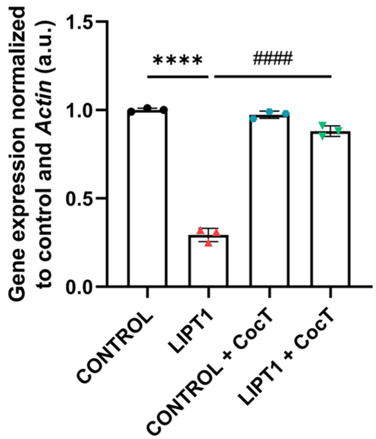 Antioxidants 13 01023 g004