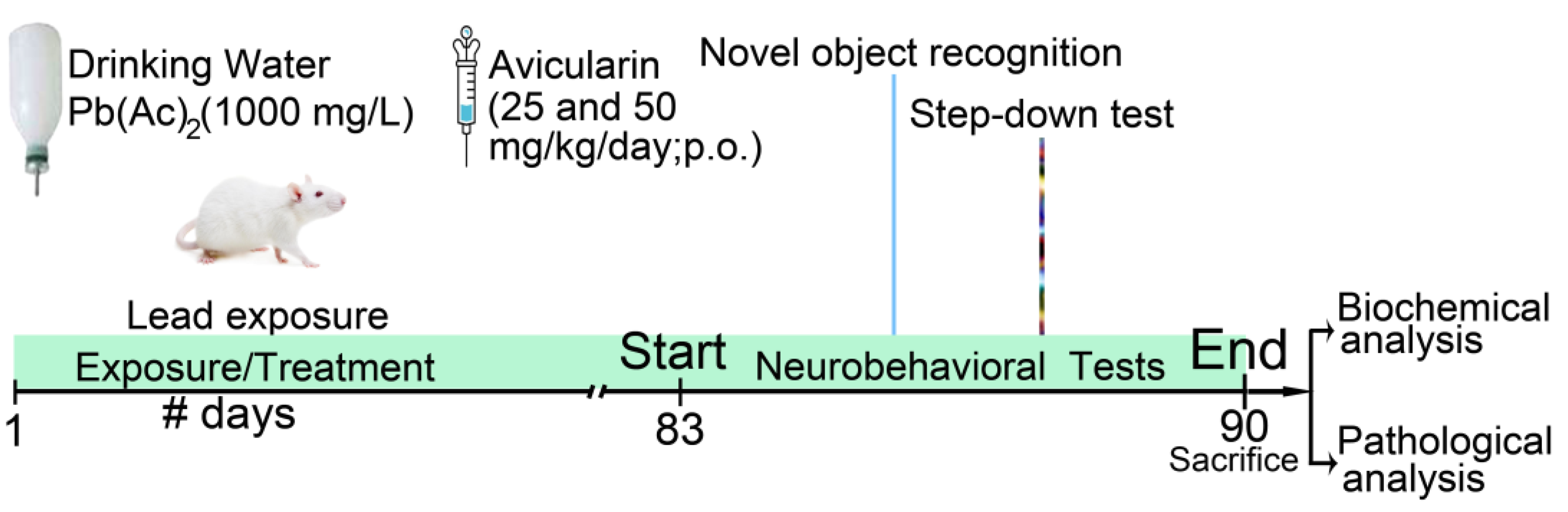 Antioxidants 13 01024 g001