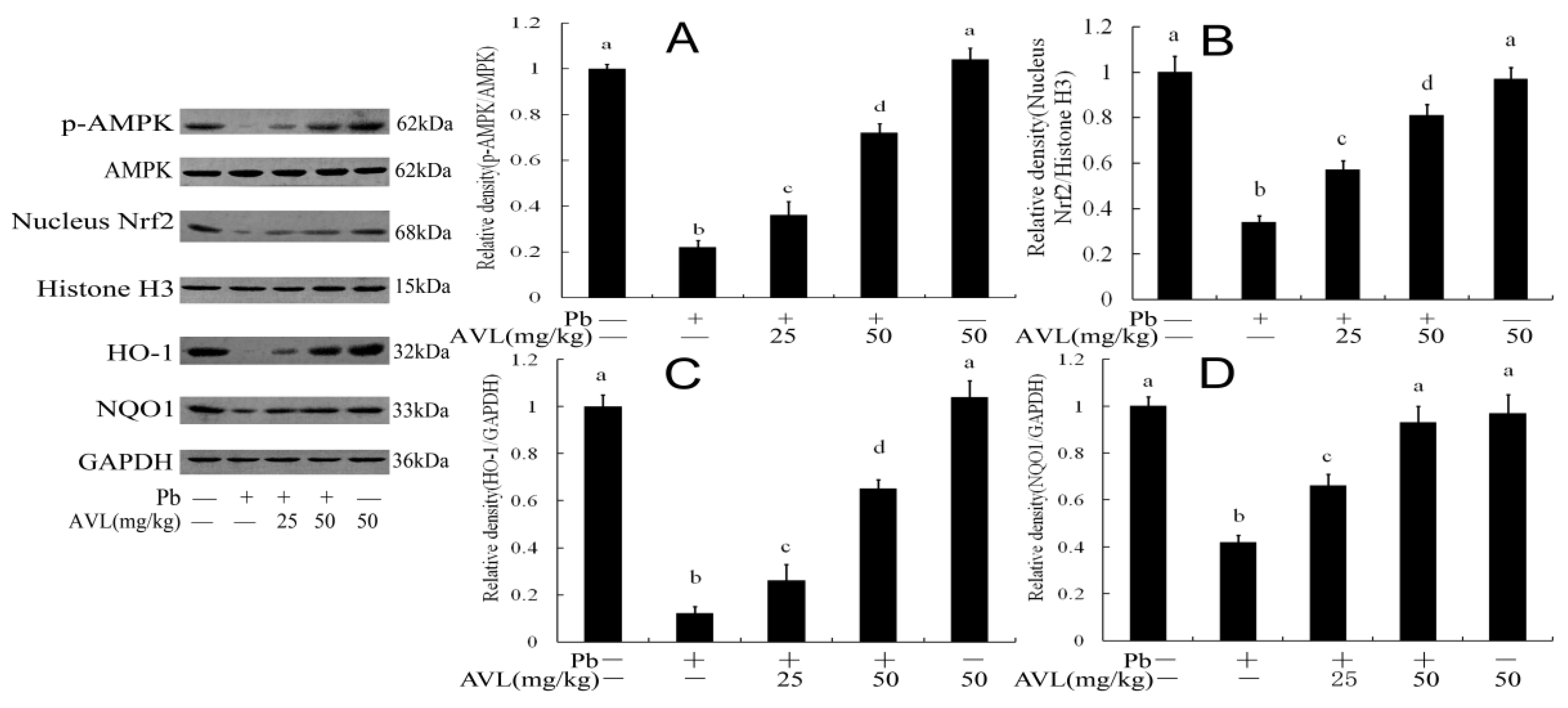 Antioxidants 13 01024 g006