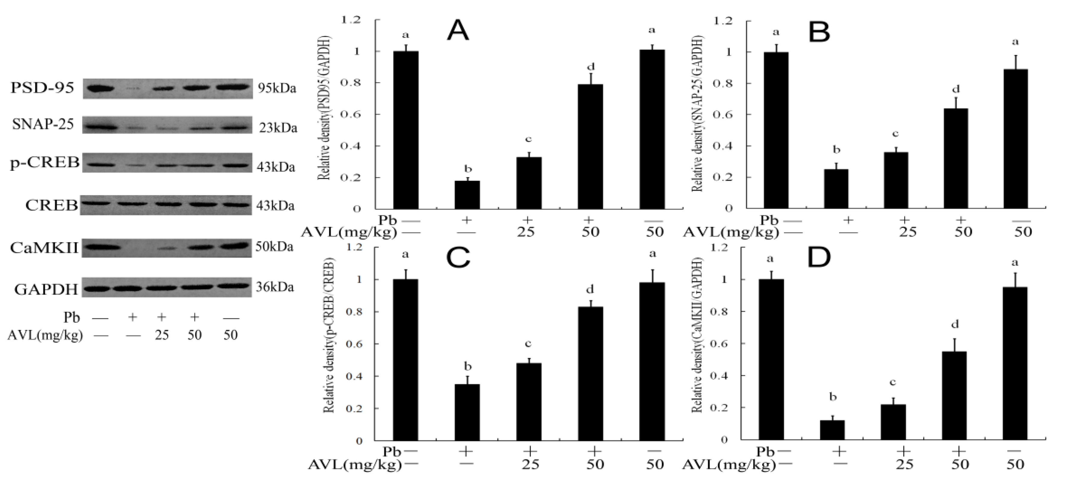 Antioxidants 13 01024 g007