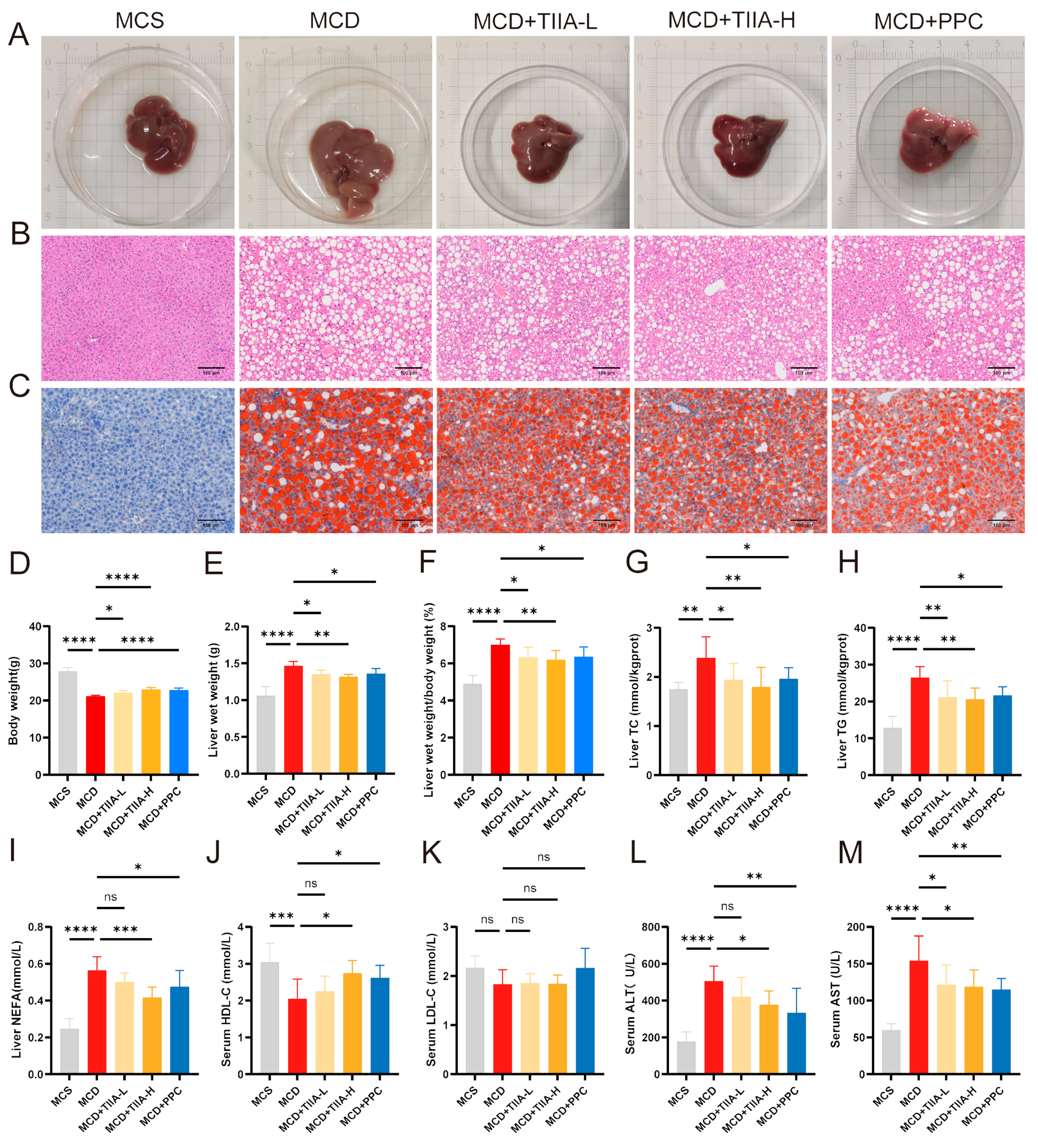 Antioxidants 13 01026 g001