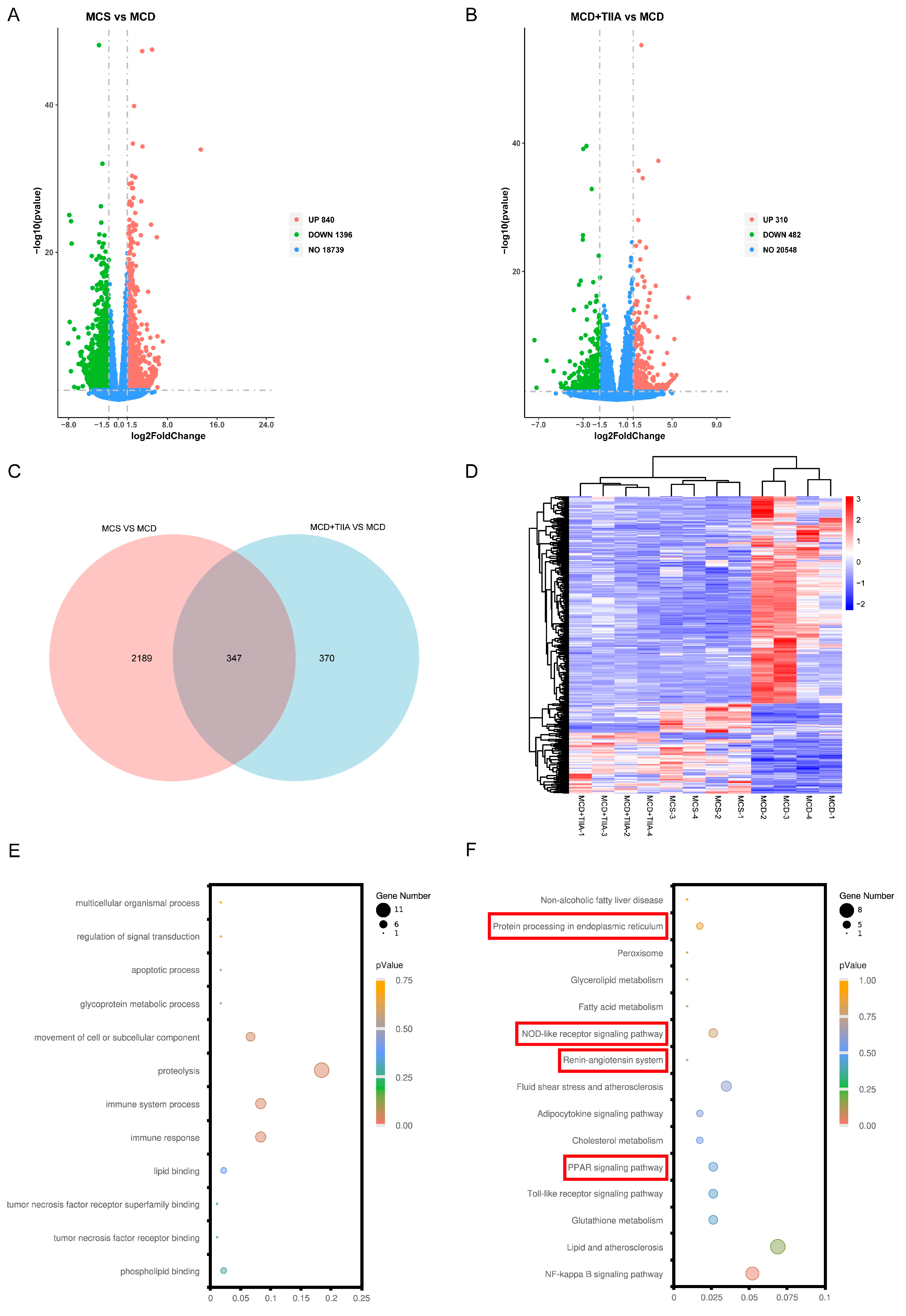 Antioxidants 13 01026 g004