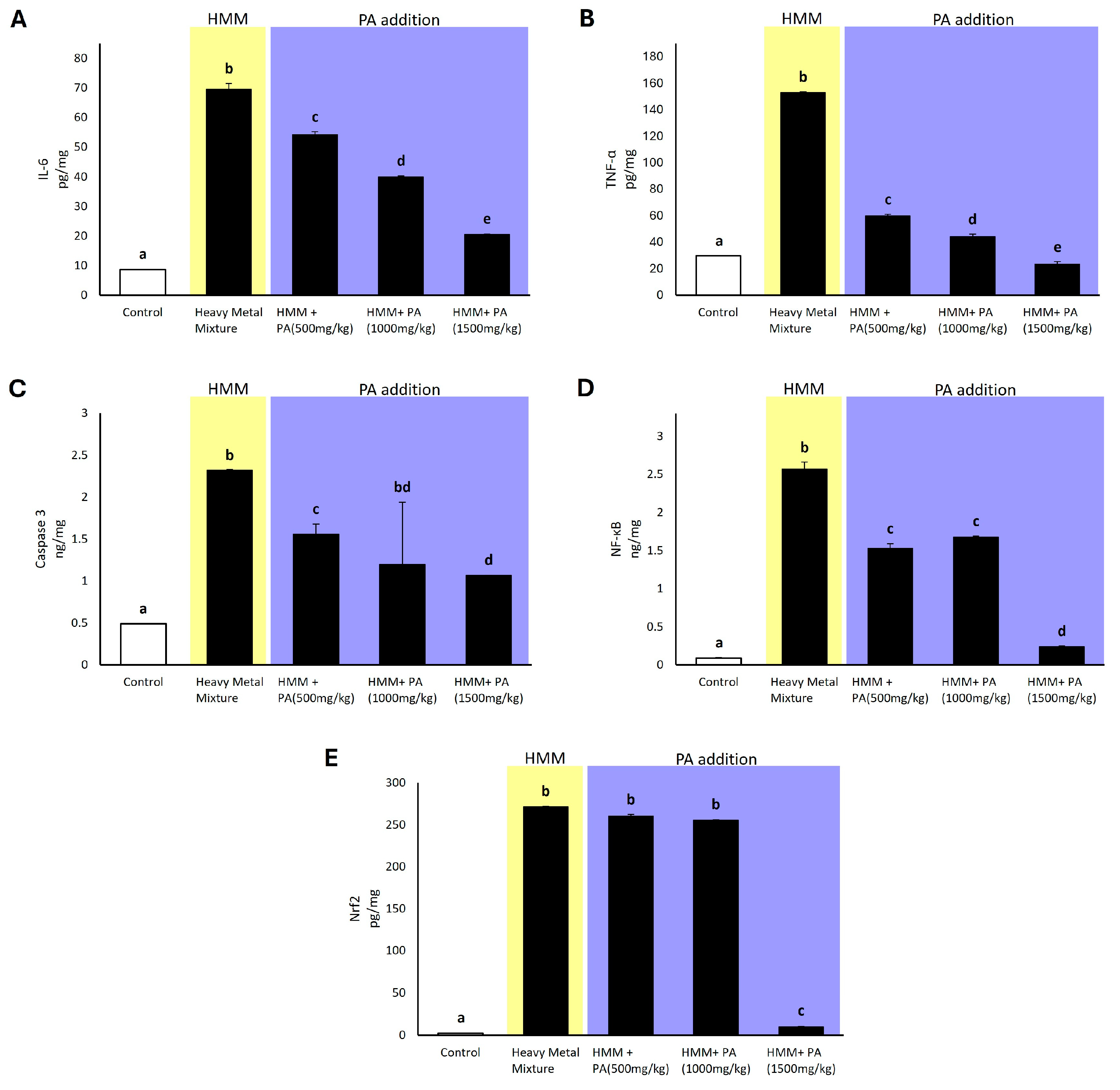 Antioxidants 13 01028 g005