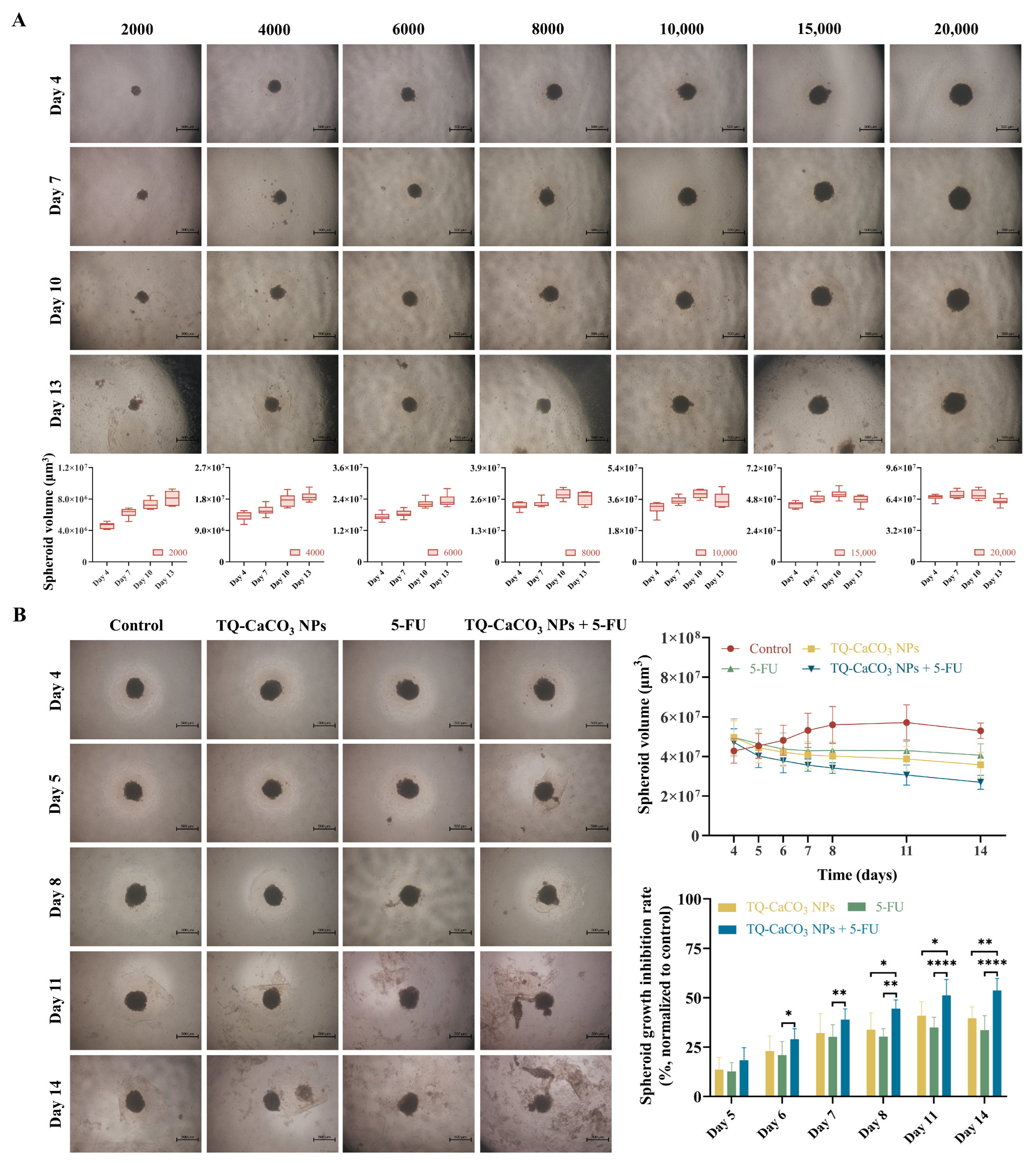 Antioxidants 13 01030 g006