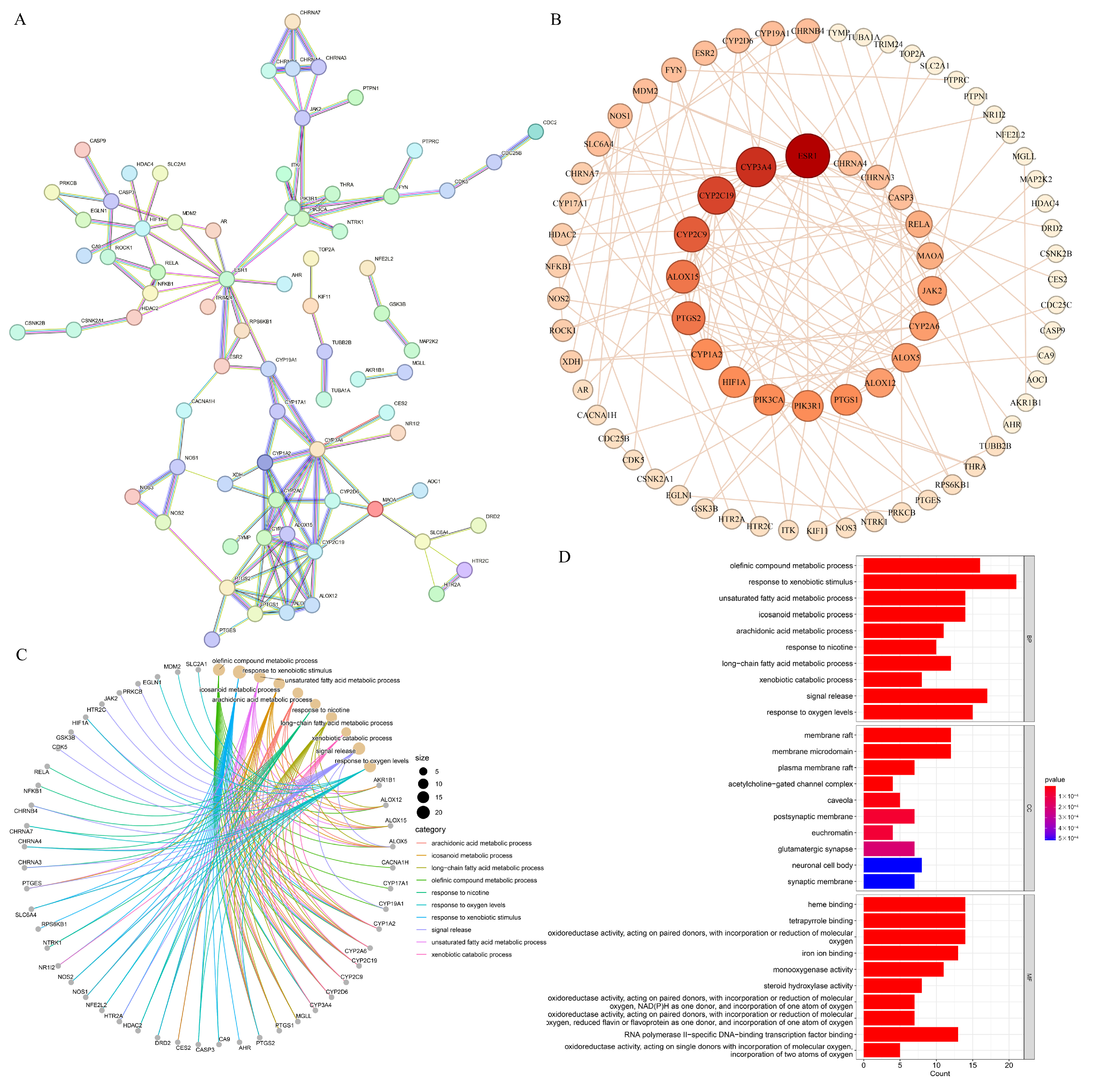 Antioxidants 13 01030 g008