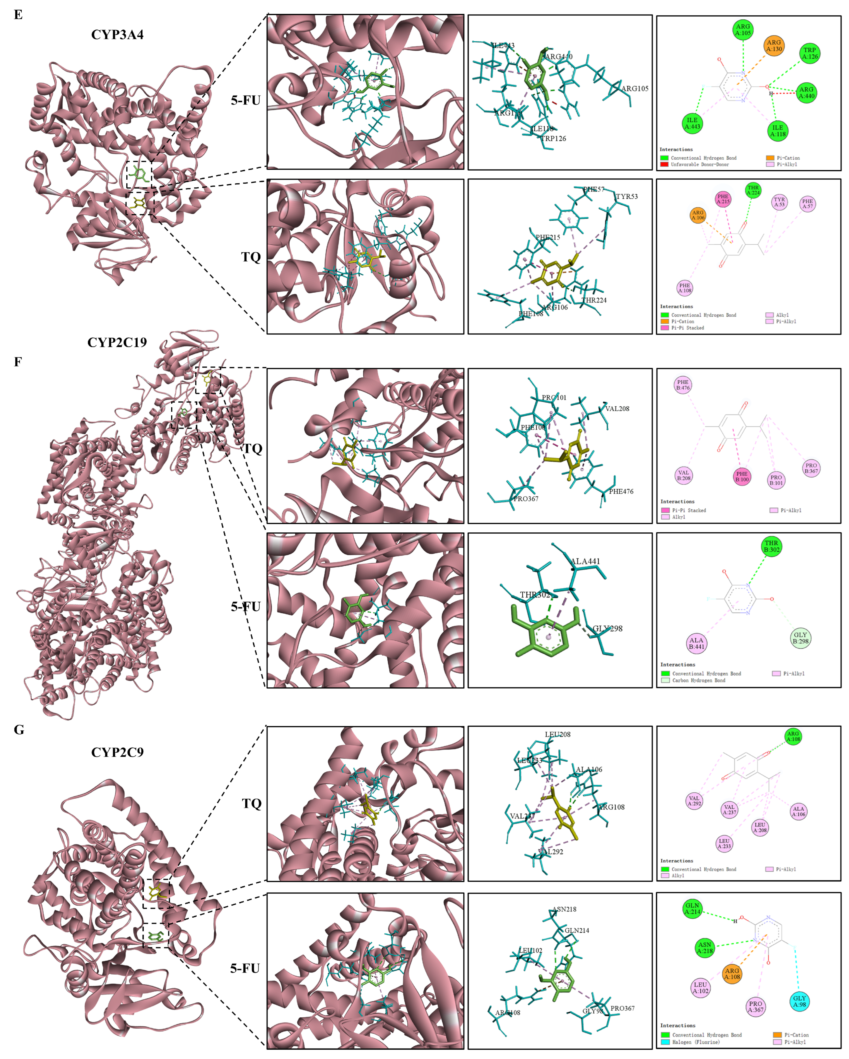 Antioxidants 13 01030 g010b