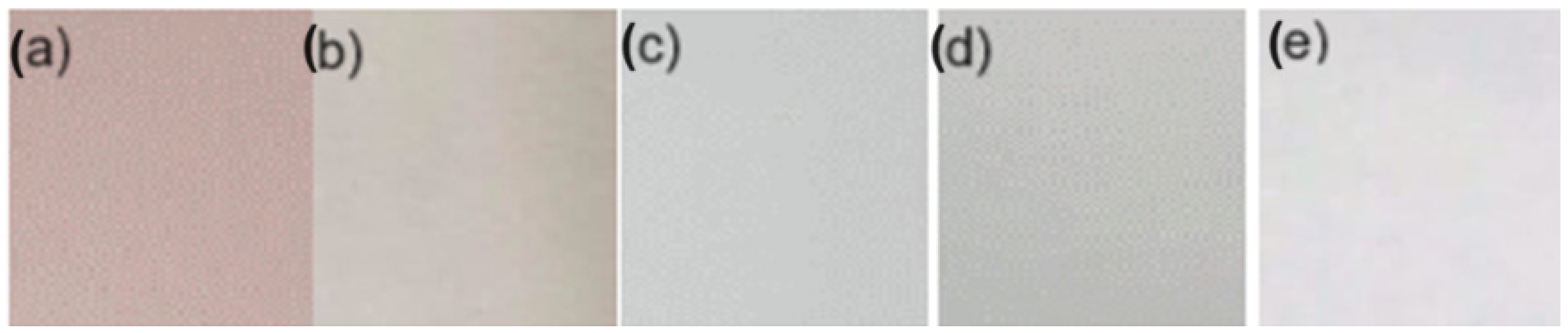 Antioxidants 13 01031 g001