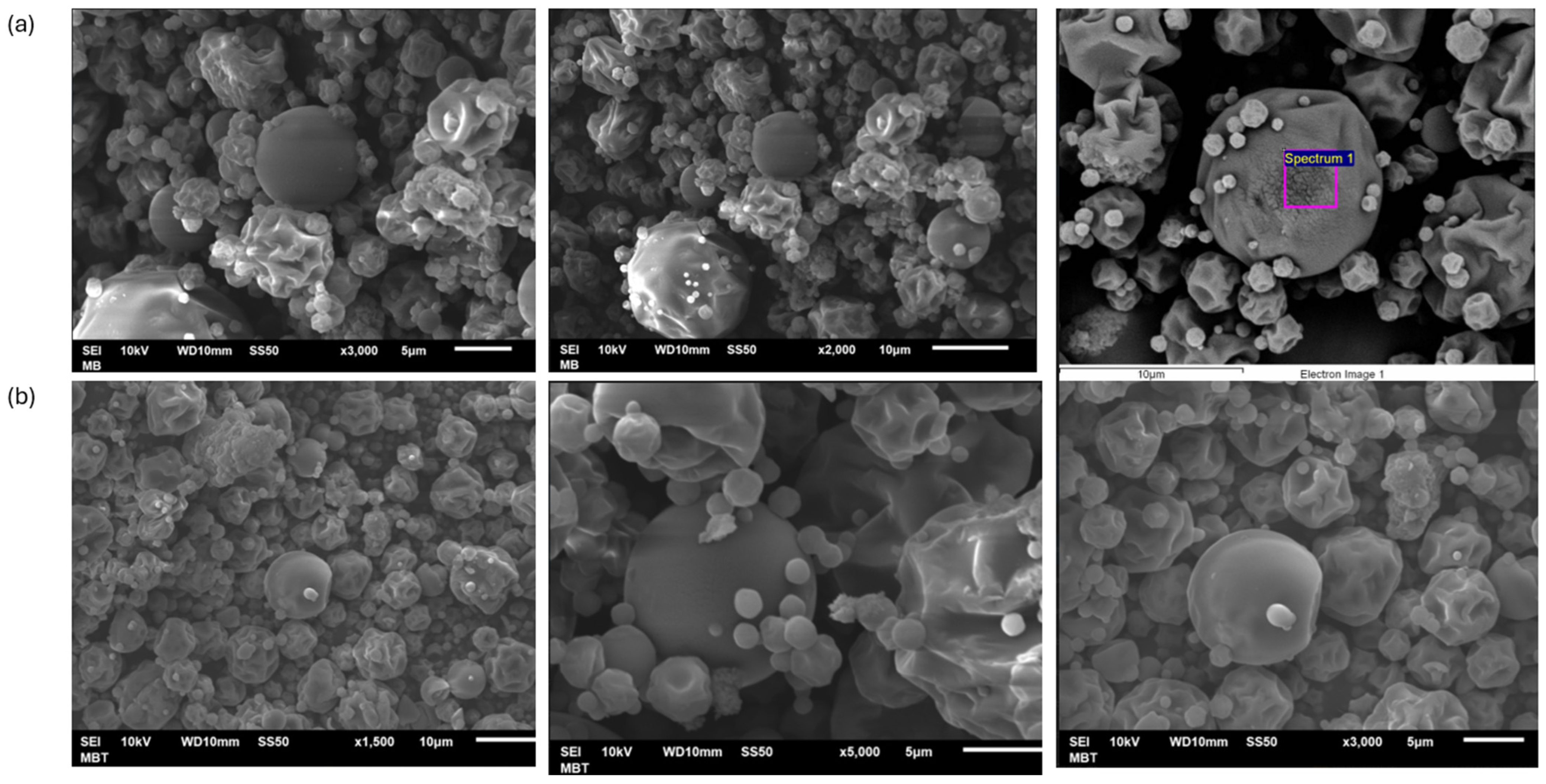 Antioxidants 13 01031 g002