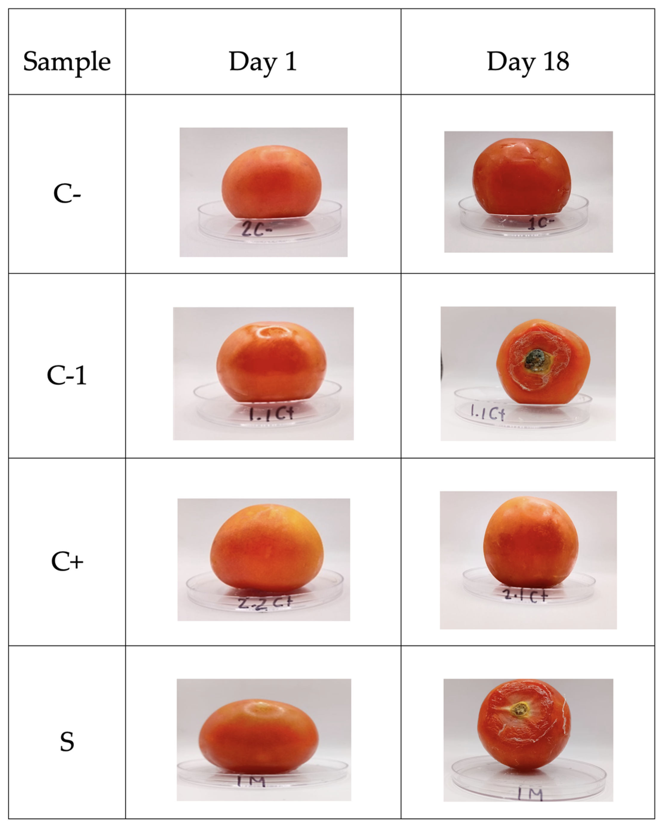 Antioxidants 13 01031 g009