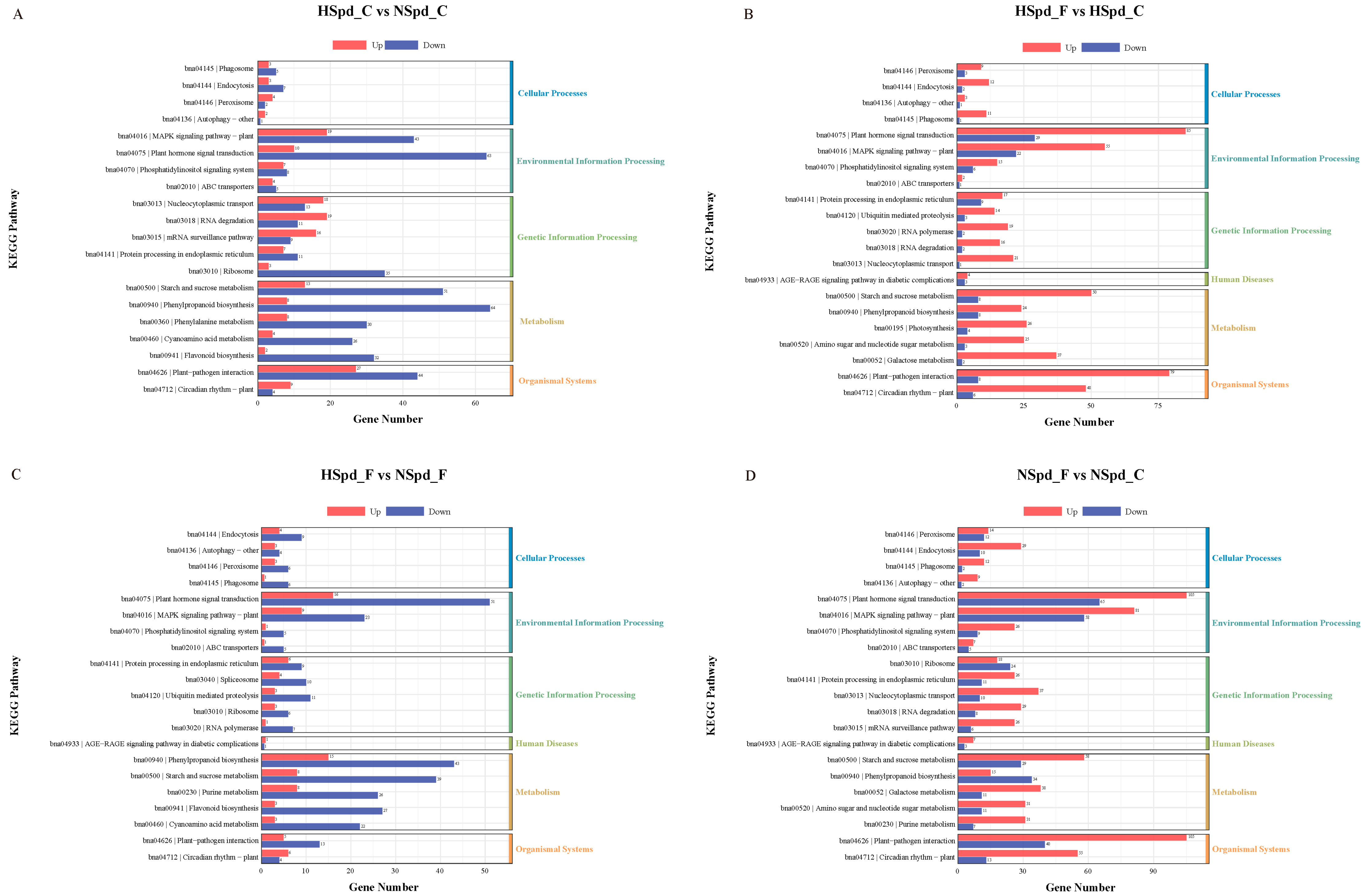 Antioxidants 13 01032 g006