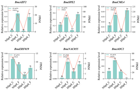 Antioxidants 13 01032 g0a2