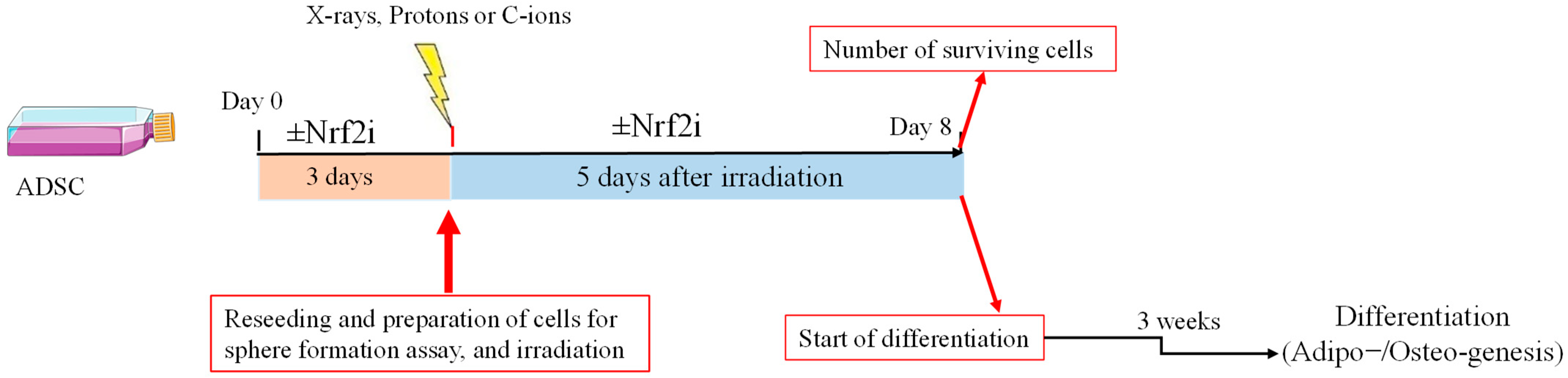 Antioxidants 13 01035 g001