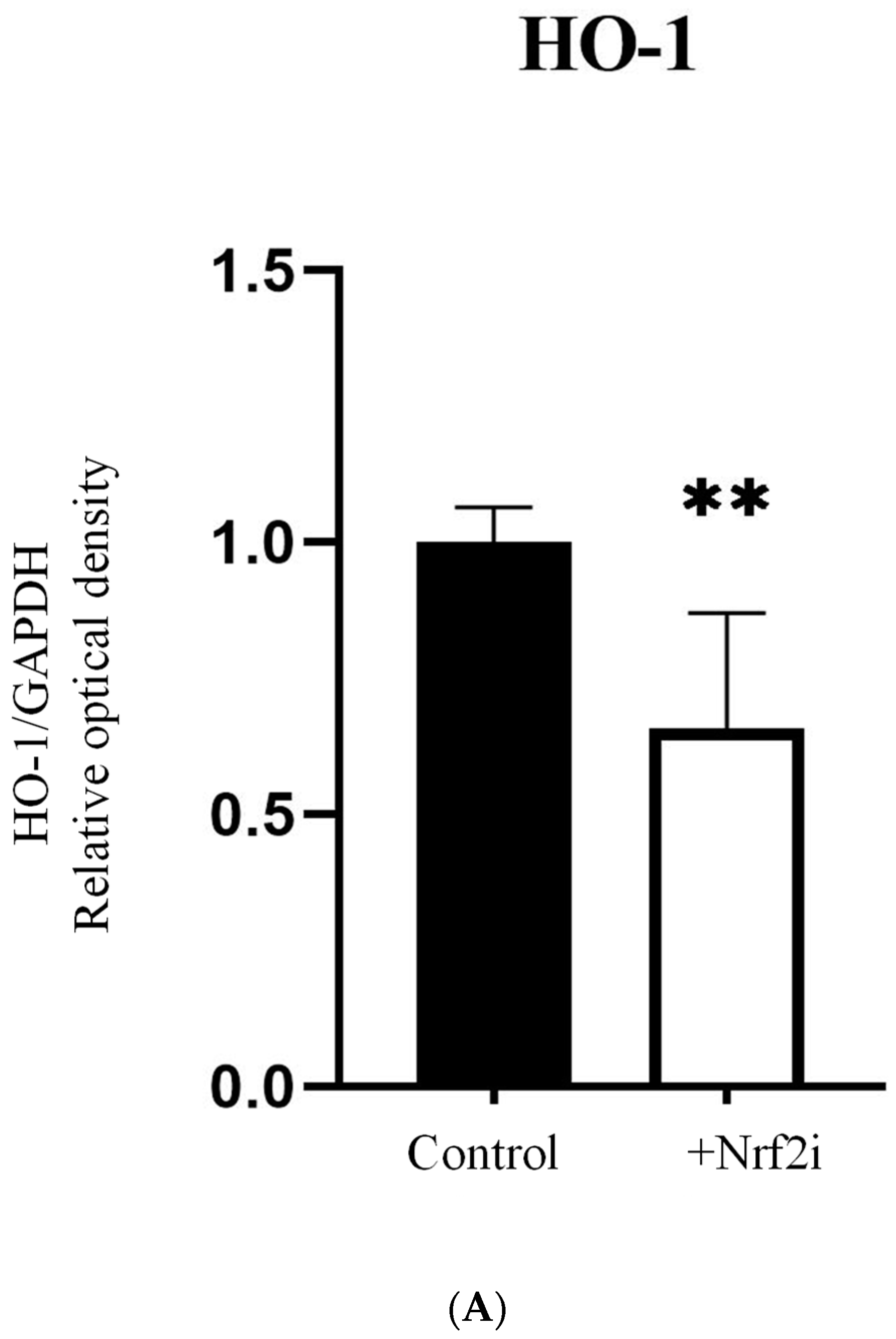 Antioxidants 13 01035 g002a