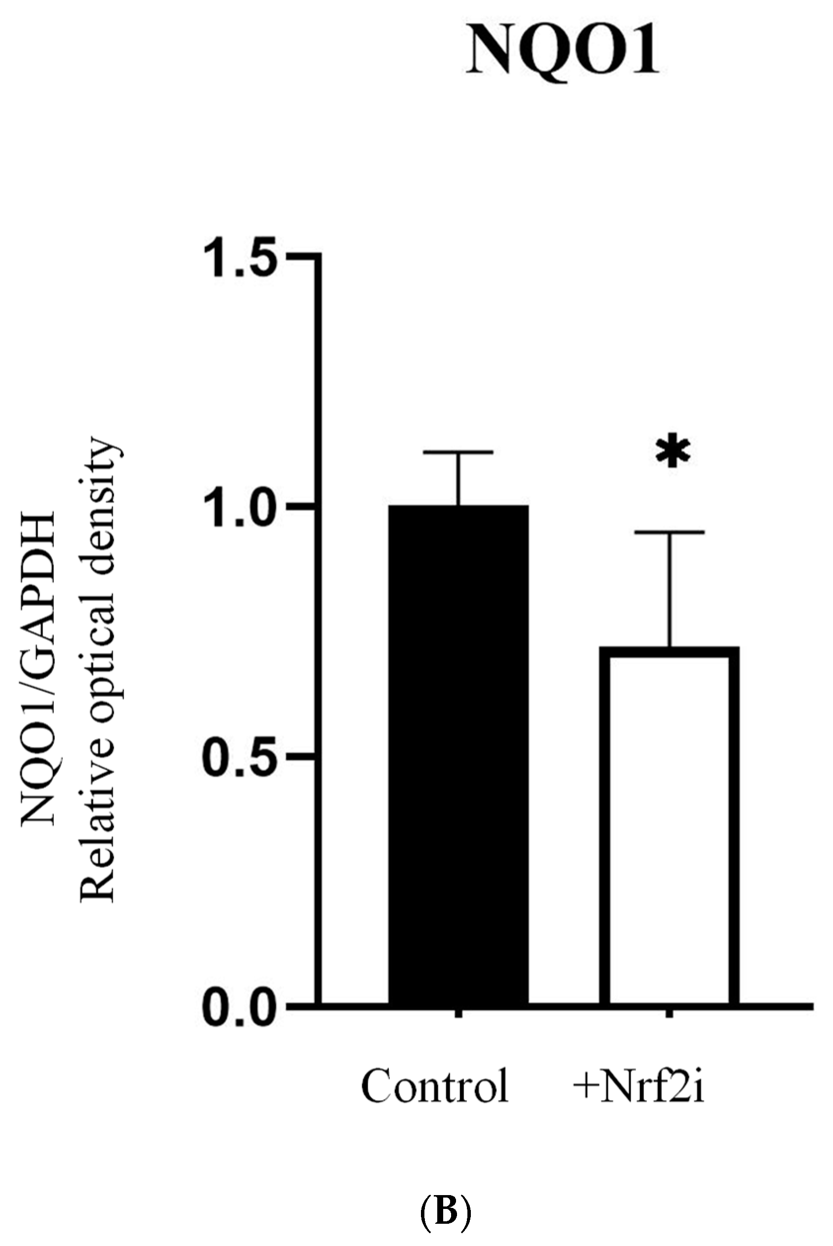 Antioxidants 13 01035 g002b