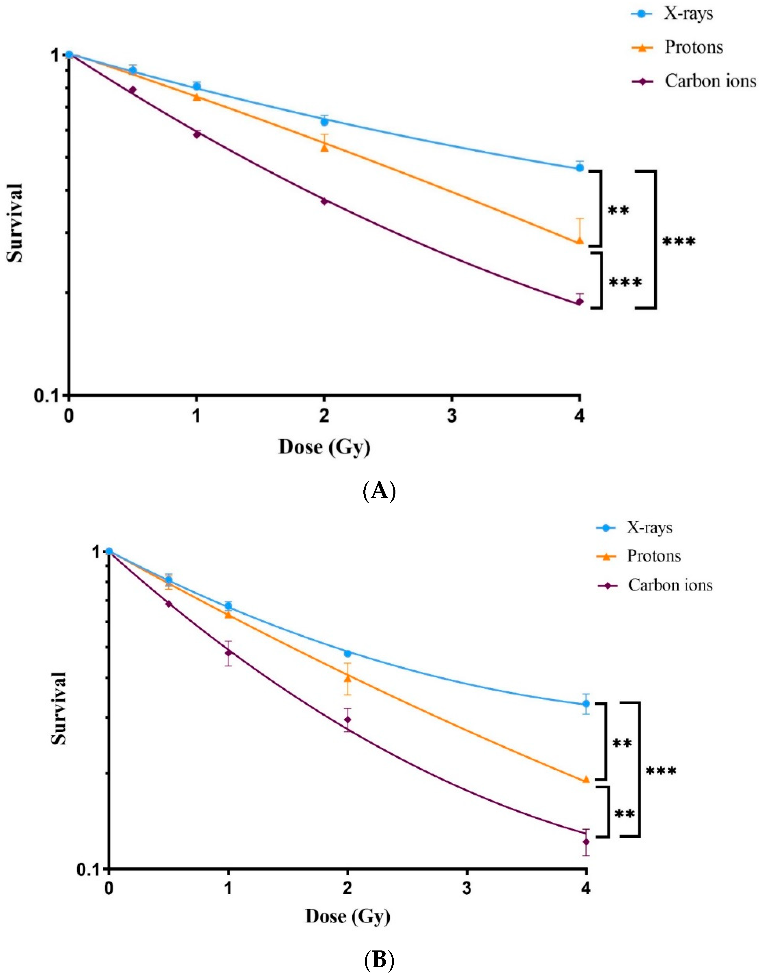 Antioxidants 13 01035 g003