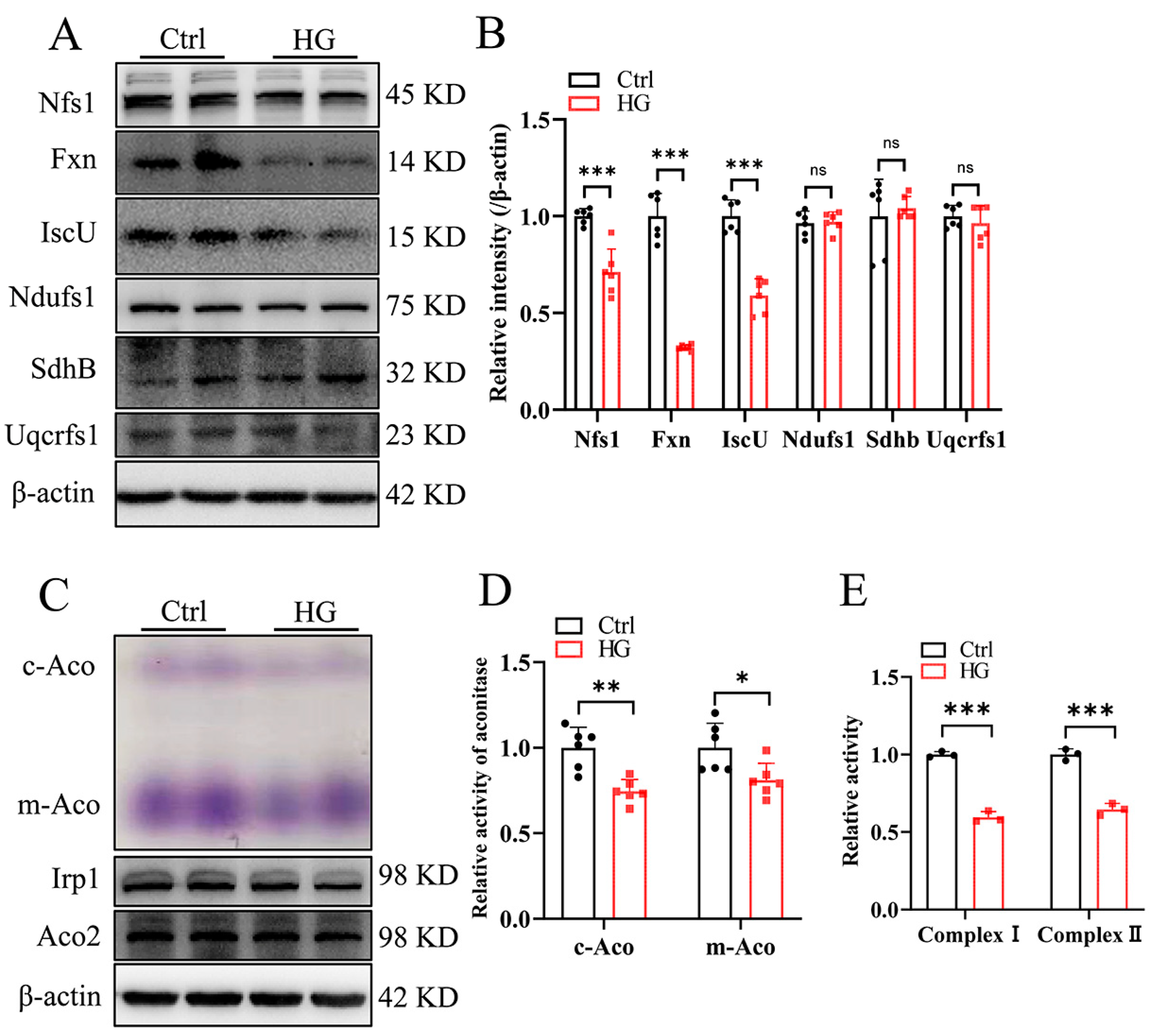 Antioxidants 13 01036 g001