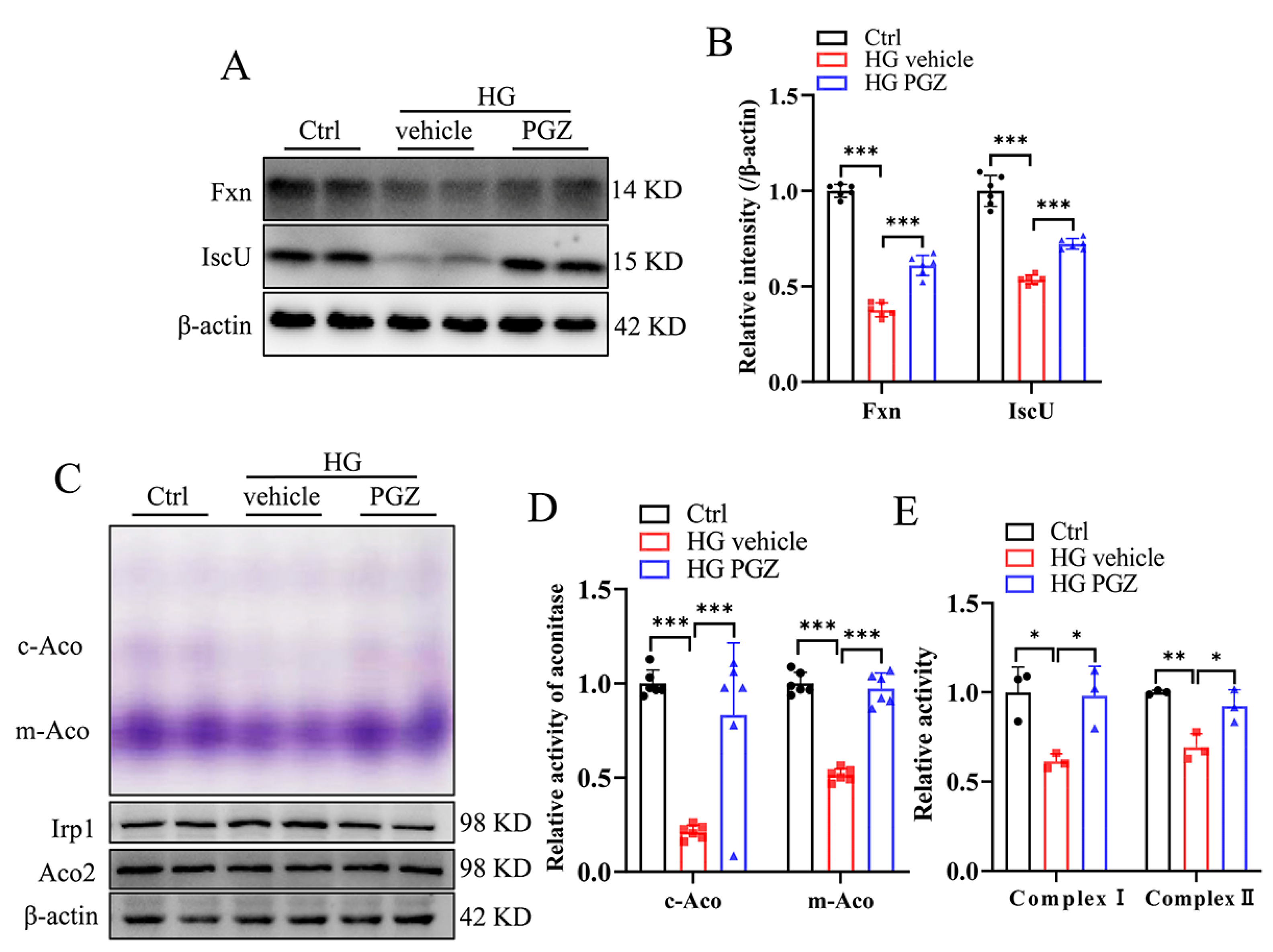 Antioxidants 13 01036 g003