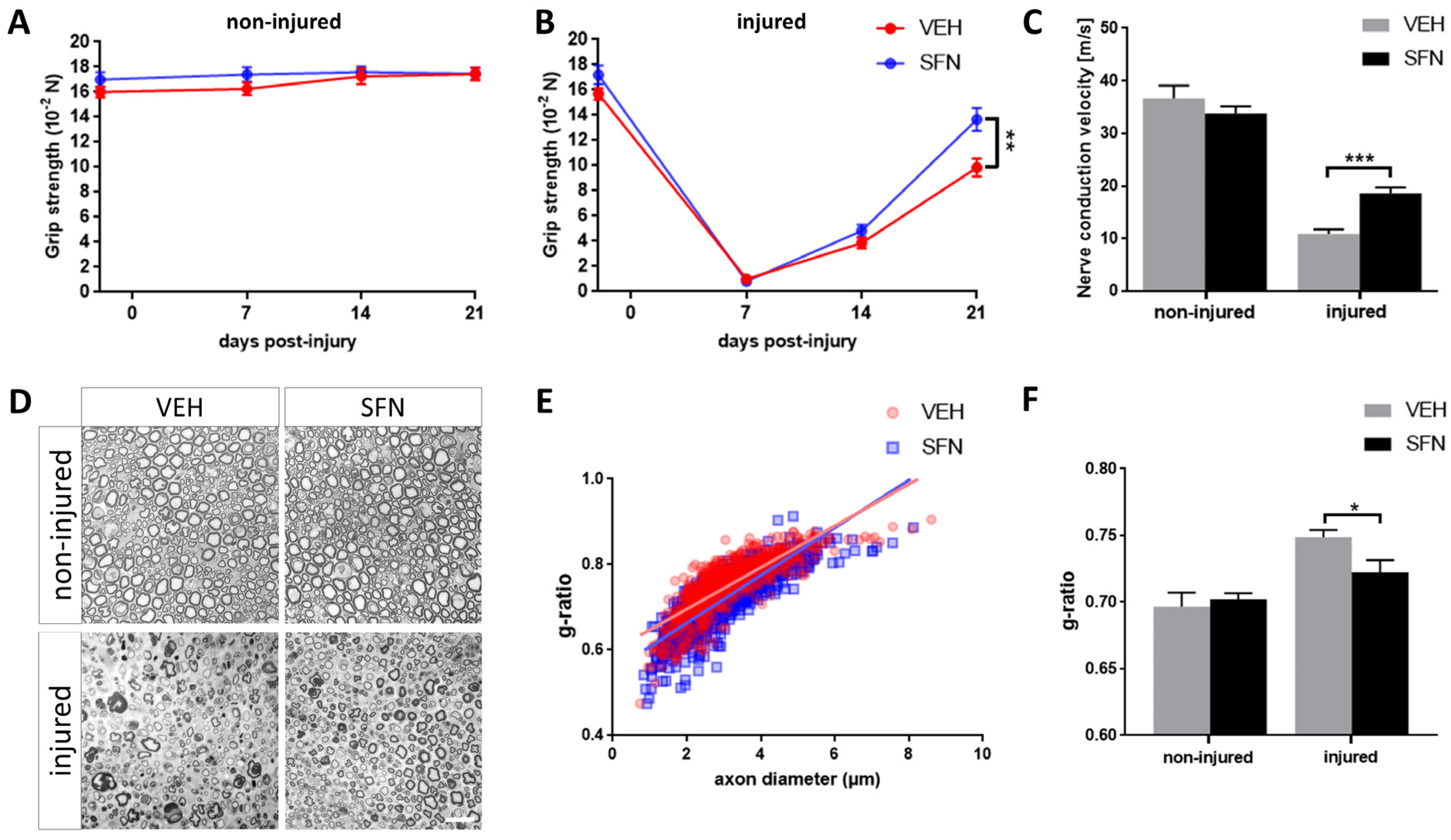 Antioxidants 13 01038 g001