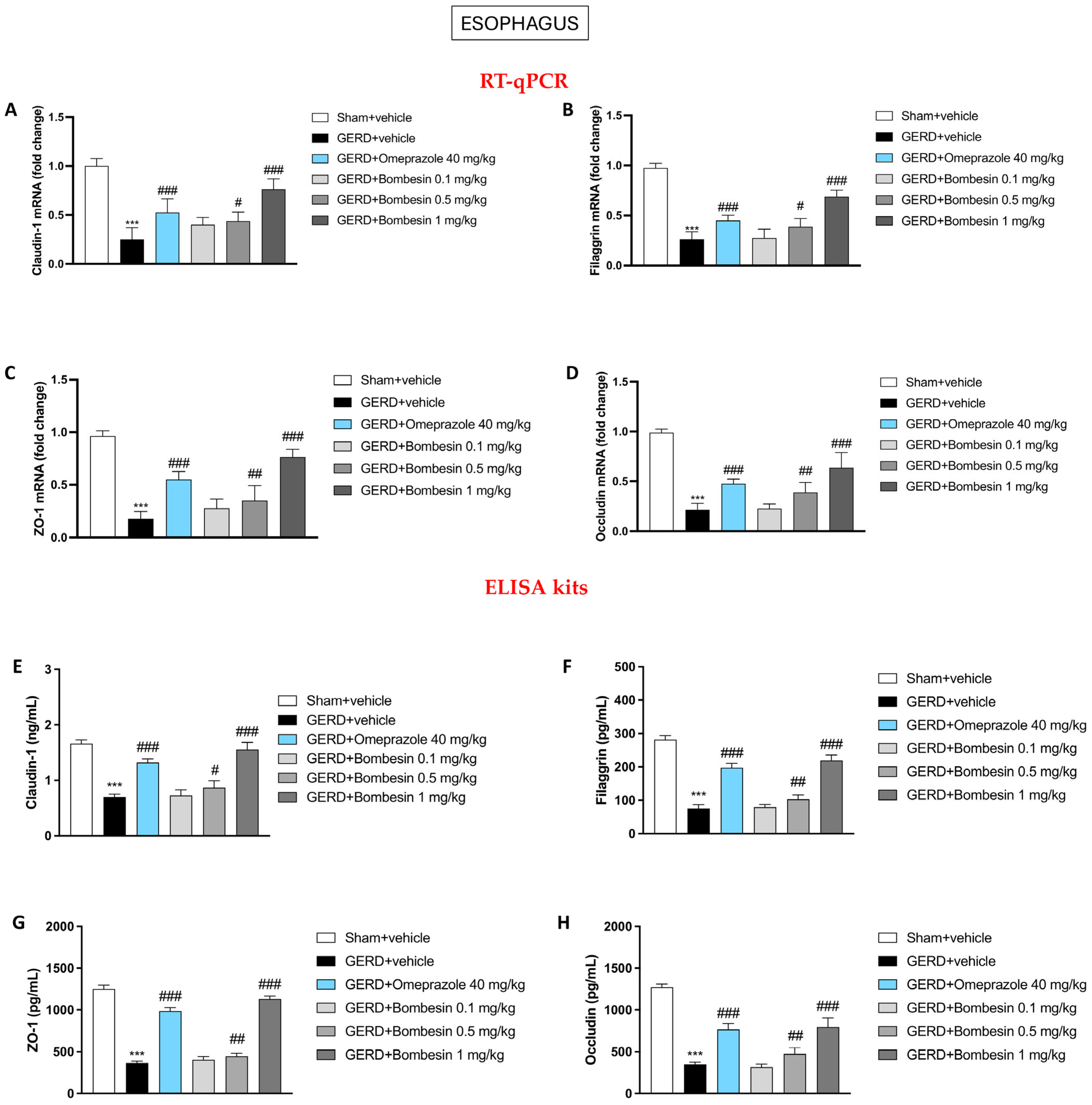 Antioxidants 13 01043 g005