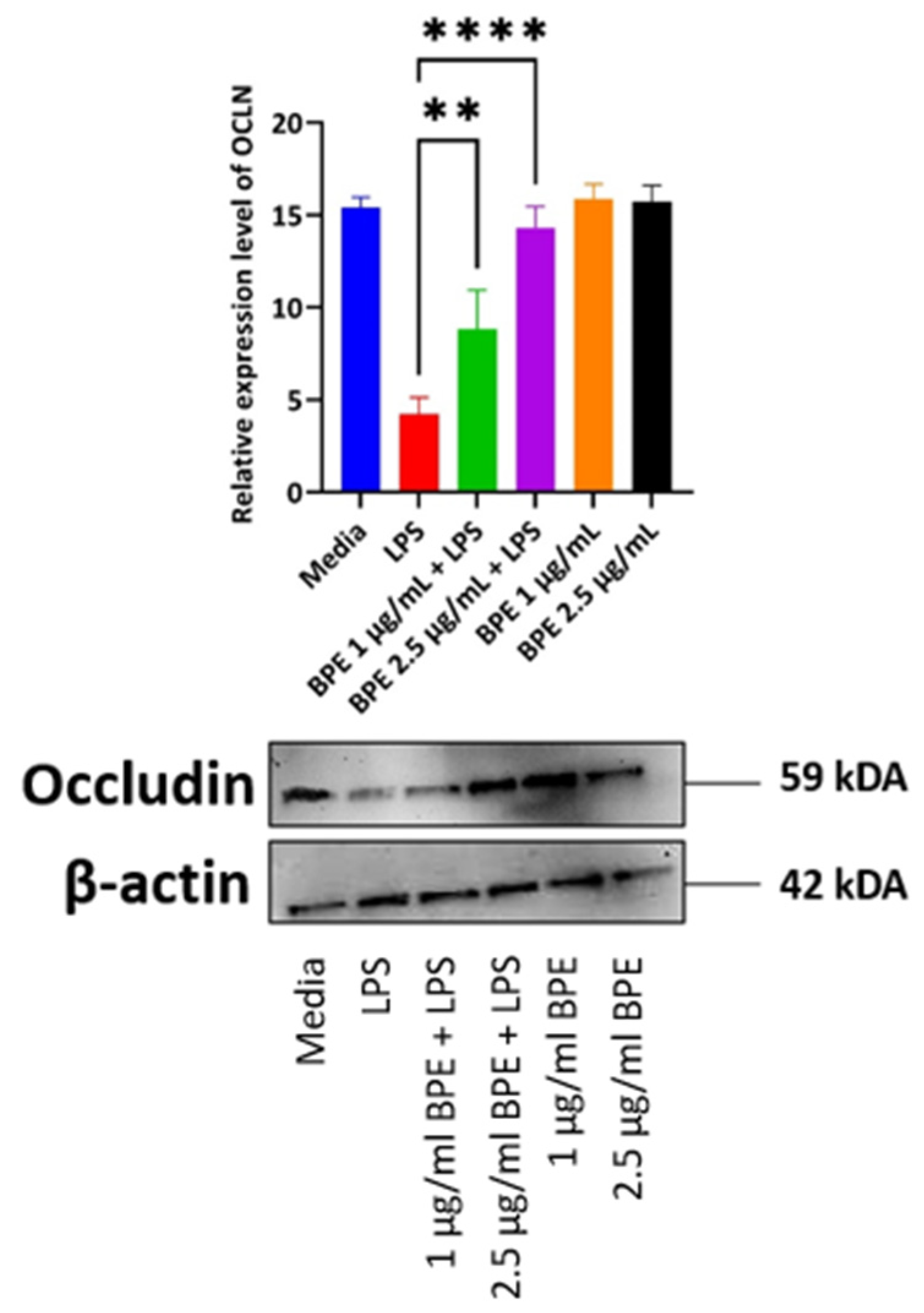 Antioxidants 13 01044 g005