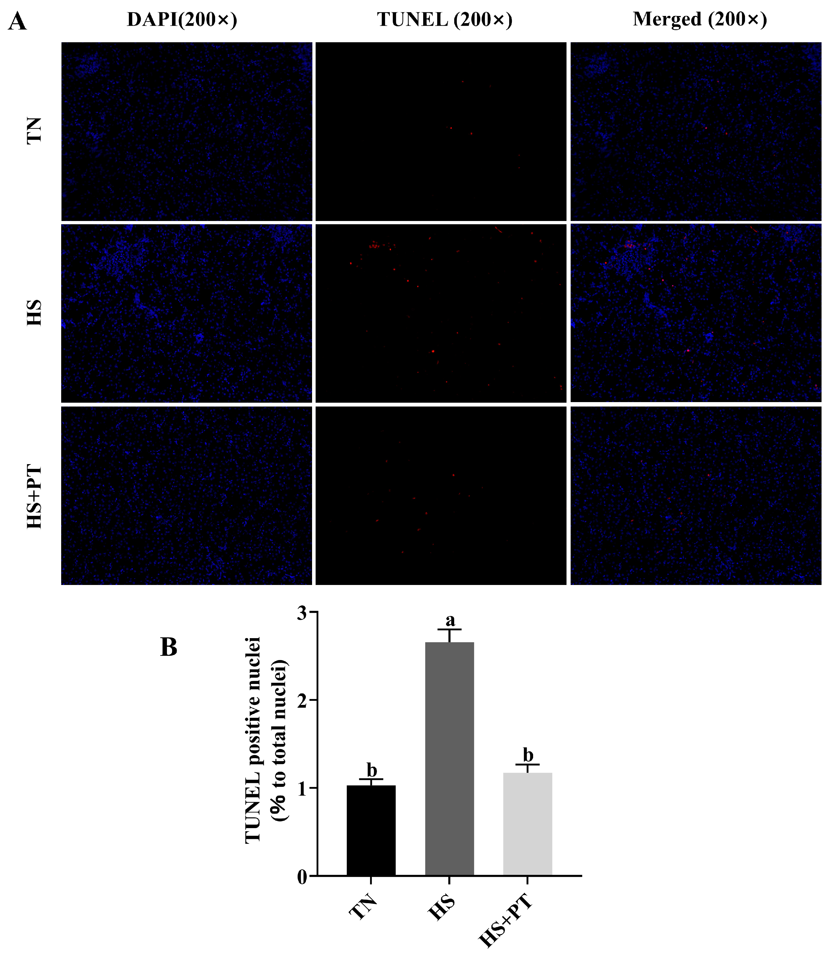 Antioxidants 13 01048 g002