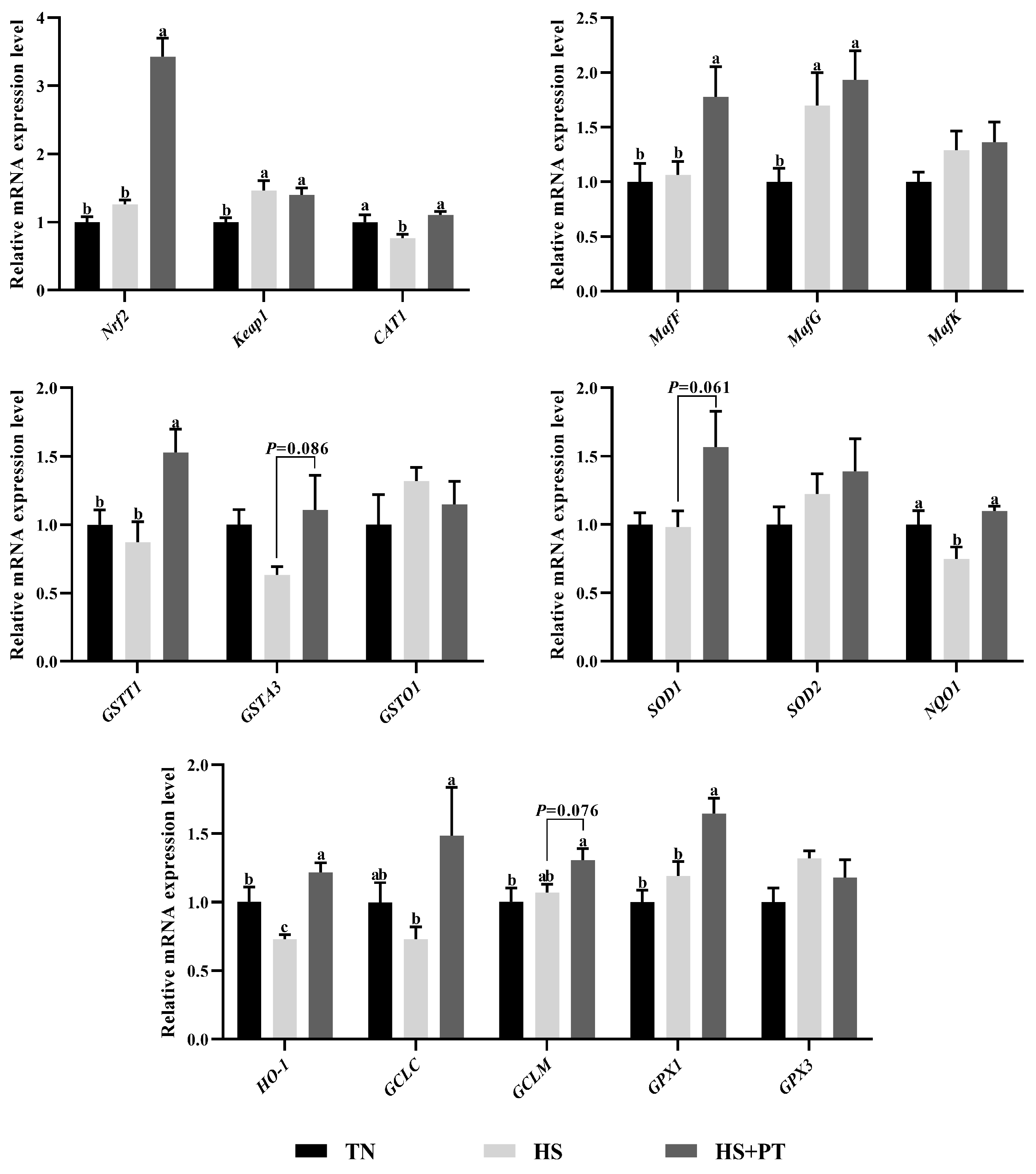 Antioxidants 13 01048 g003