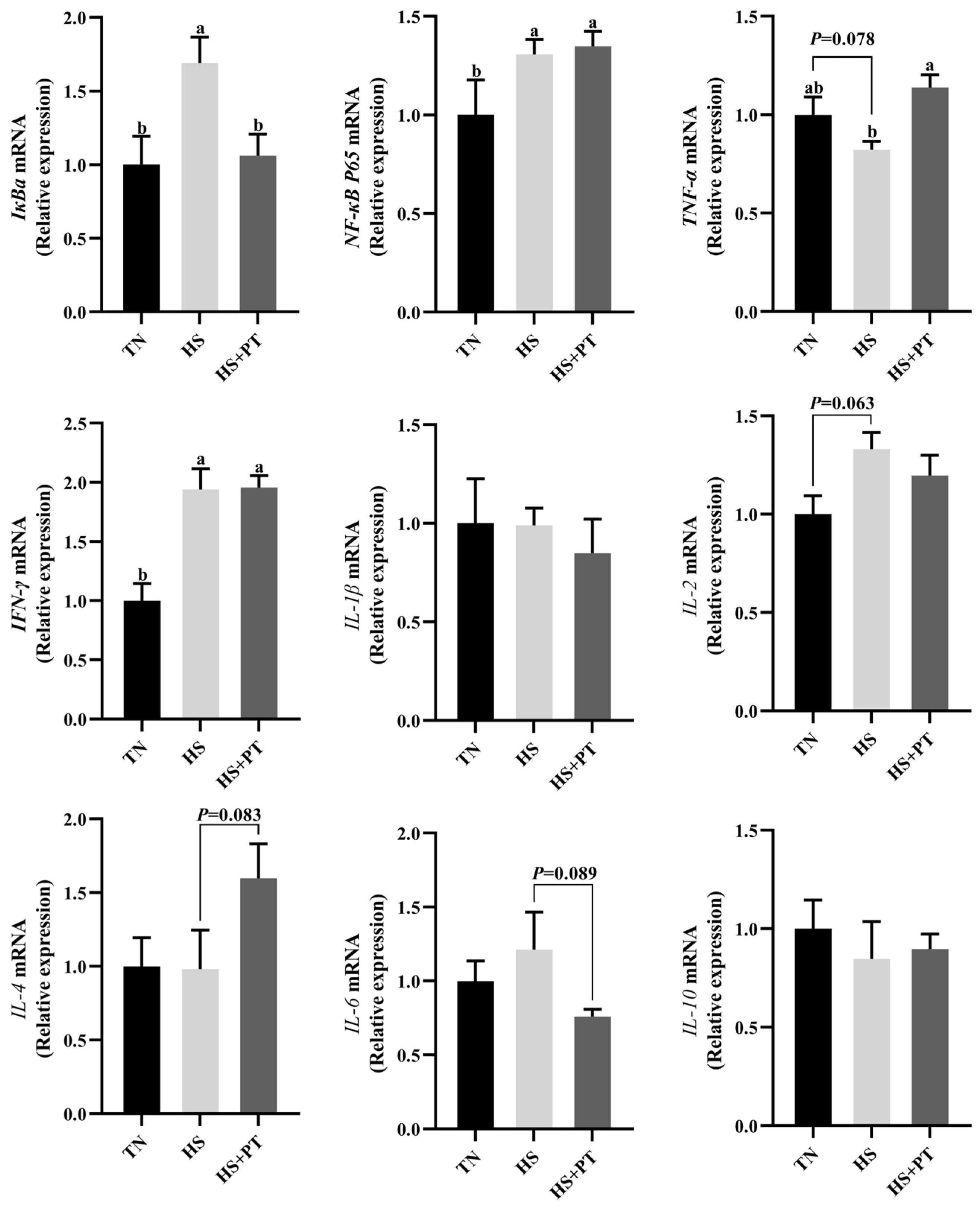 Antioxidants 13 01048 g004