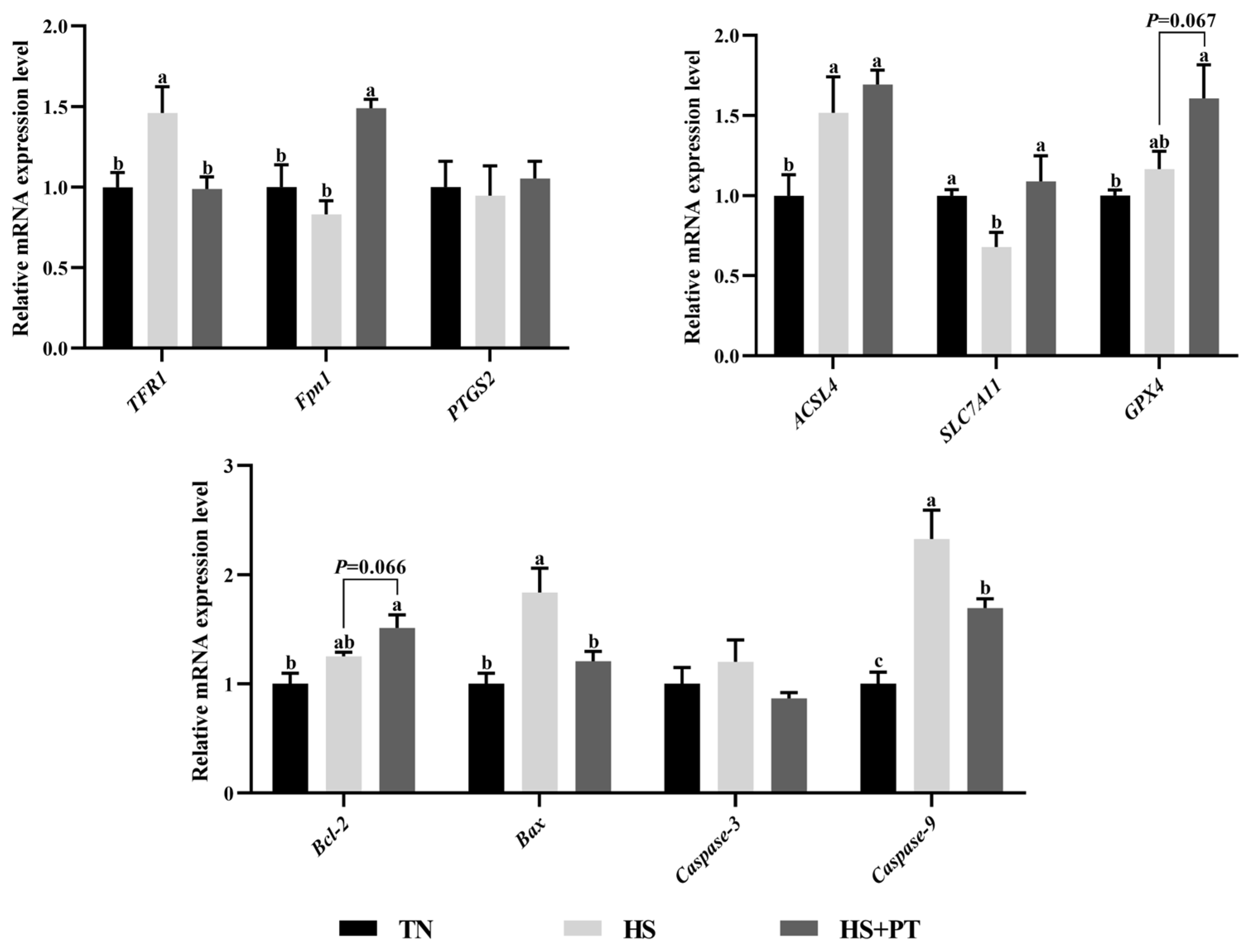 Antioxidants 13 01048 g005