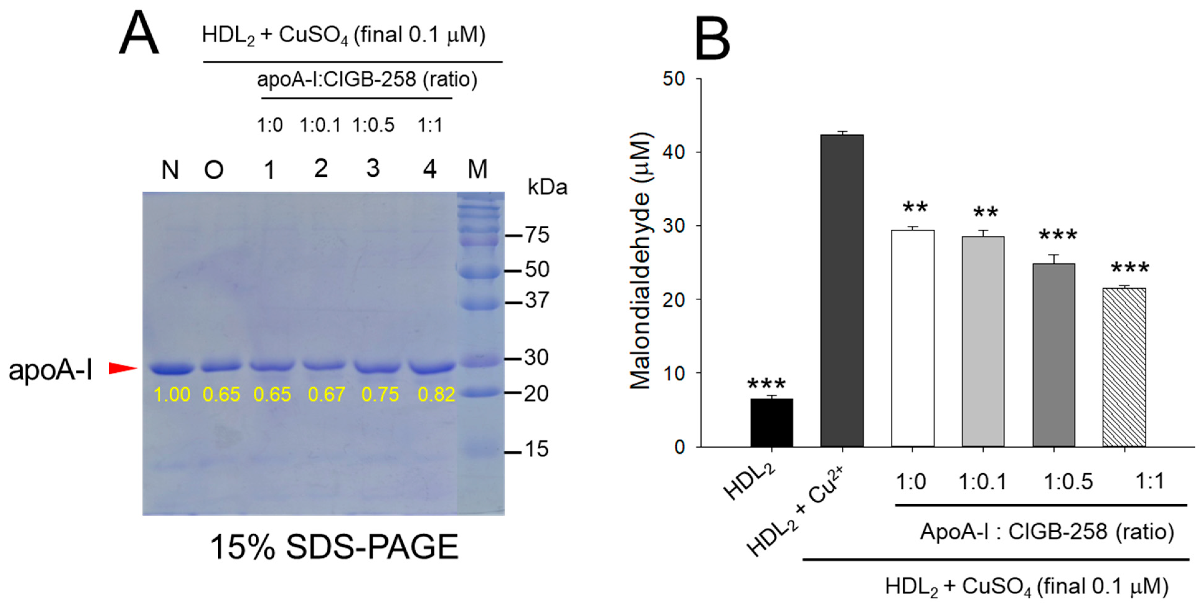 Antioxidants 13 01049 g001