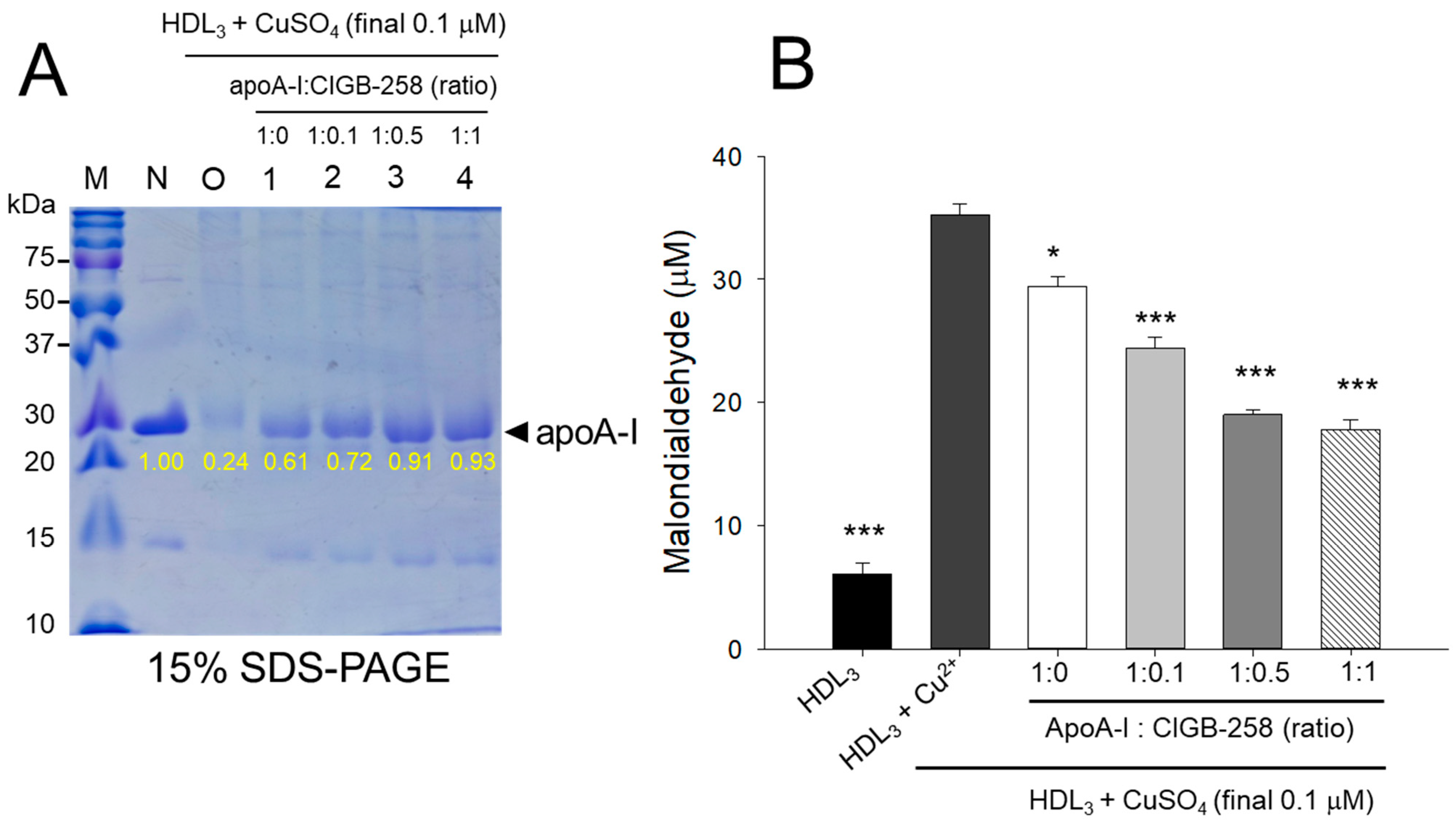 Antioxidants 13 01049 g003
