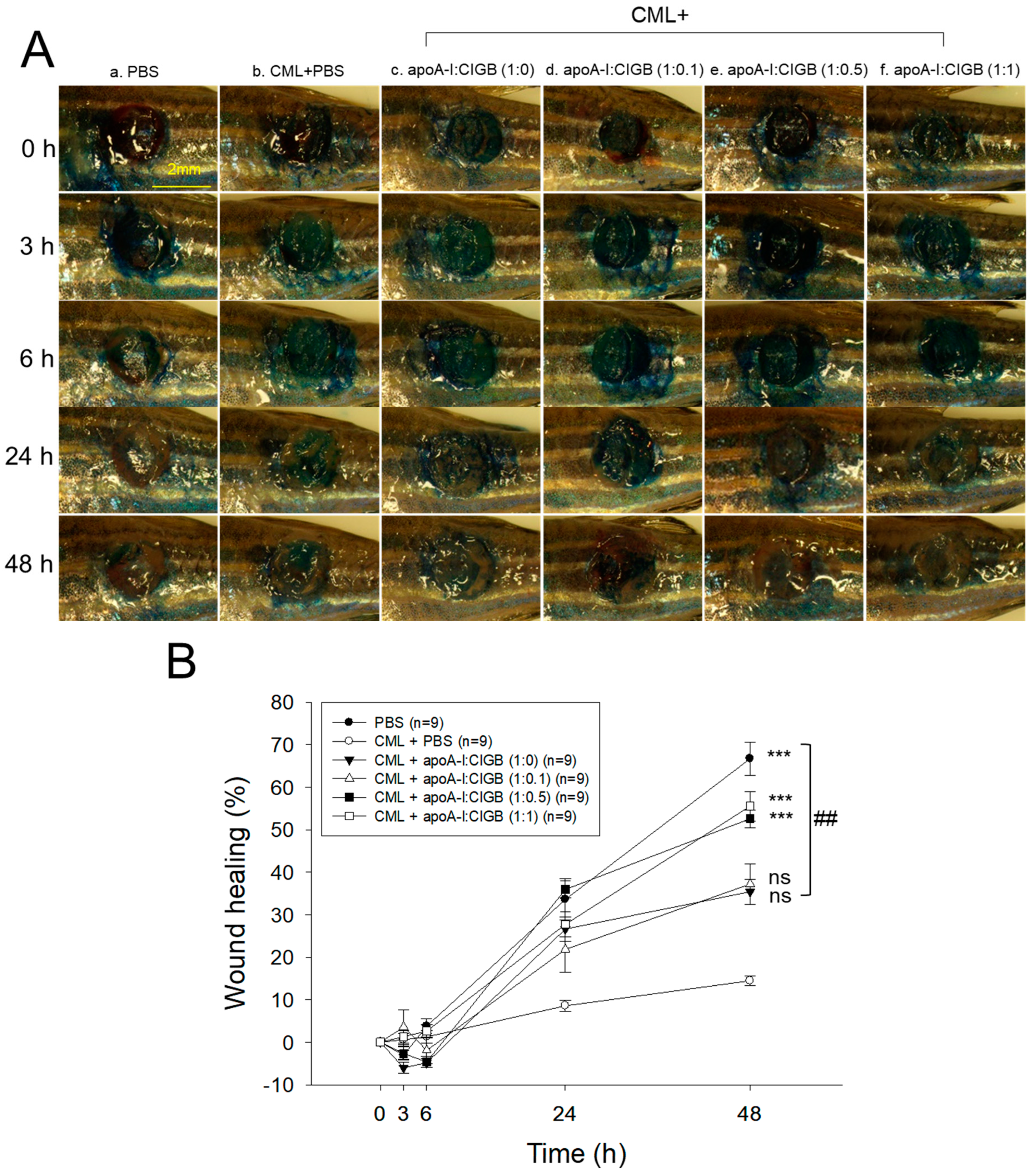 Antioxidants 13 01049 g006