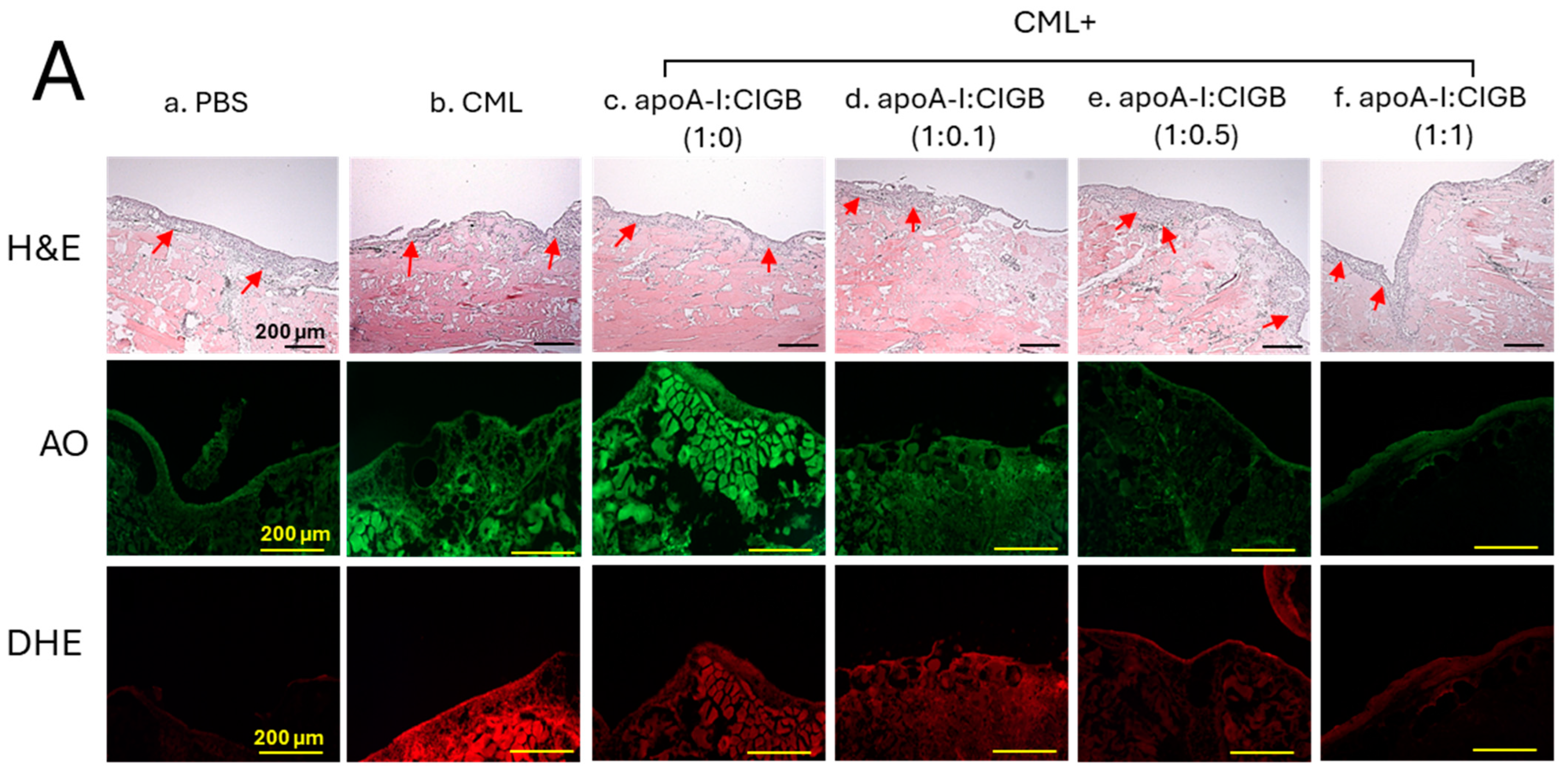 Antioxidants 13 01049 g007a
